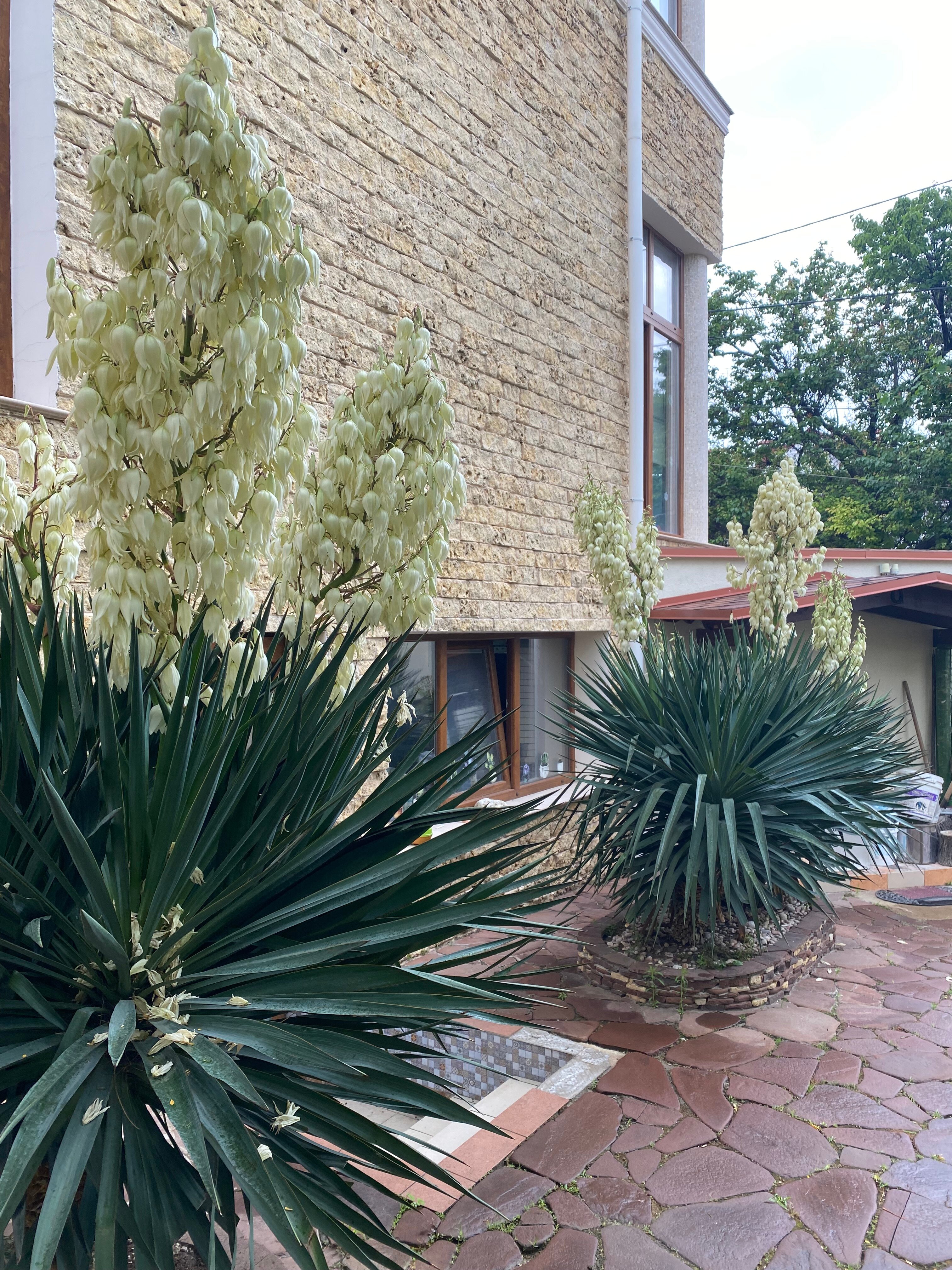 Фото Рахиль