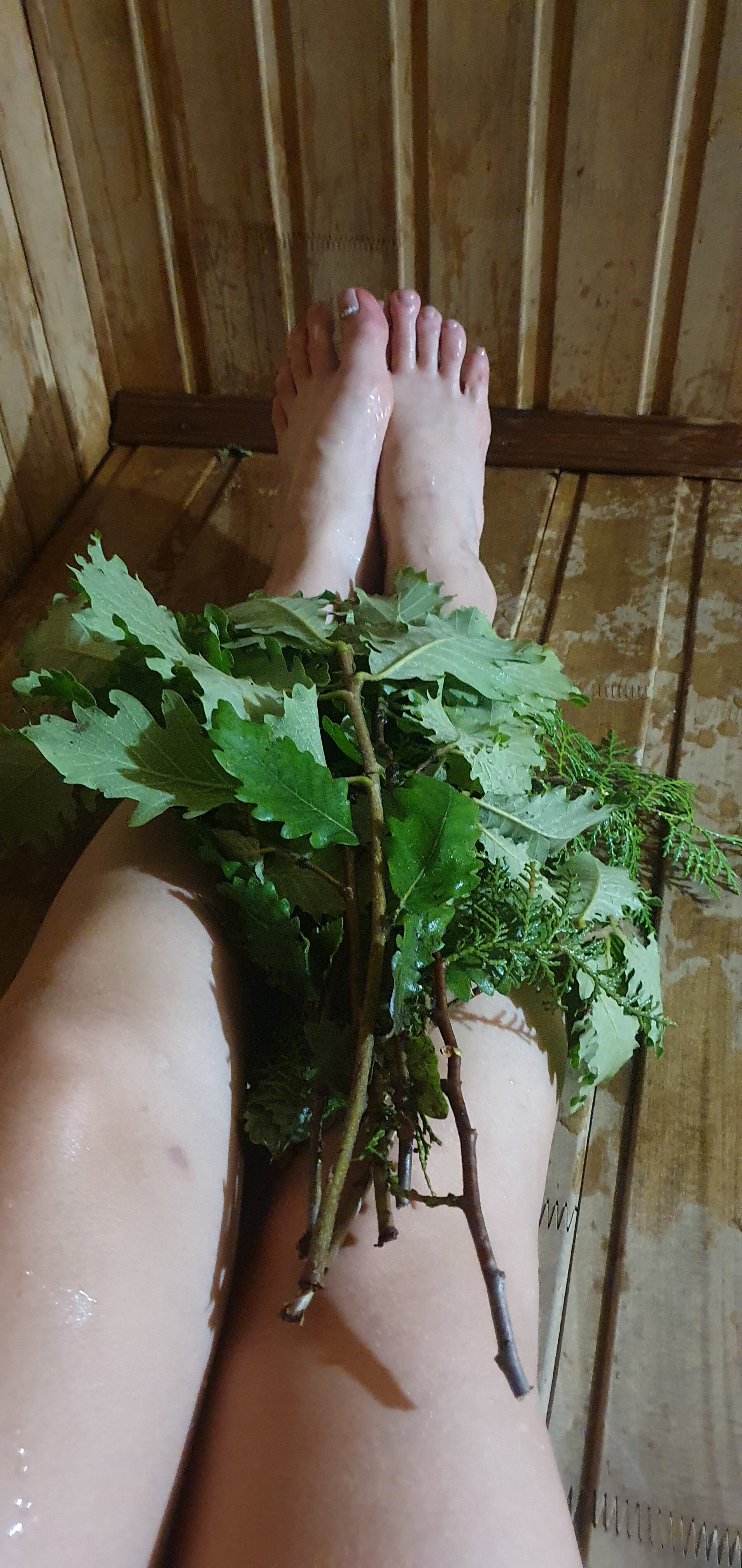 Фото Дубовая Роща