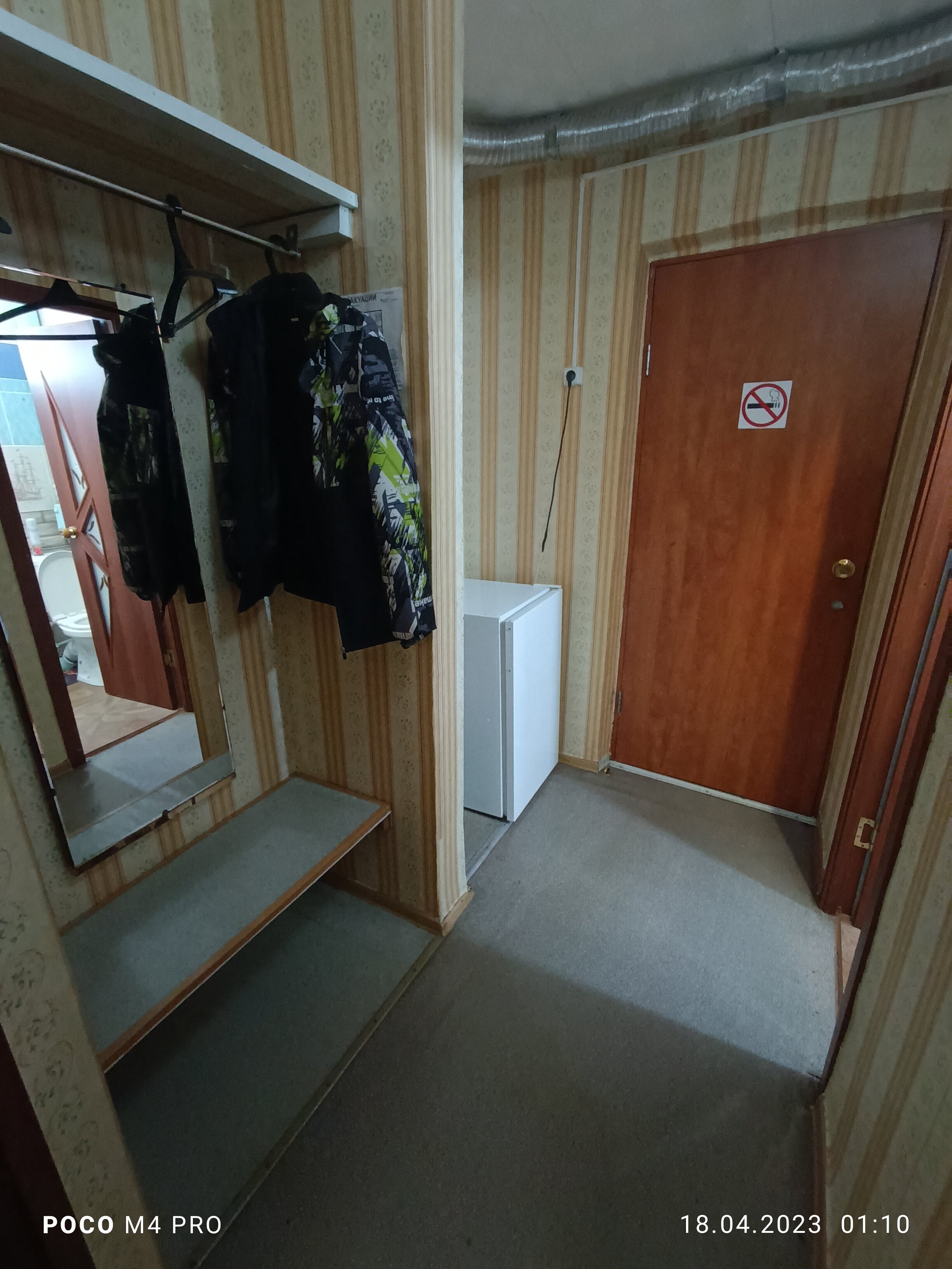 Фото Берёзка