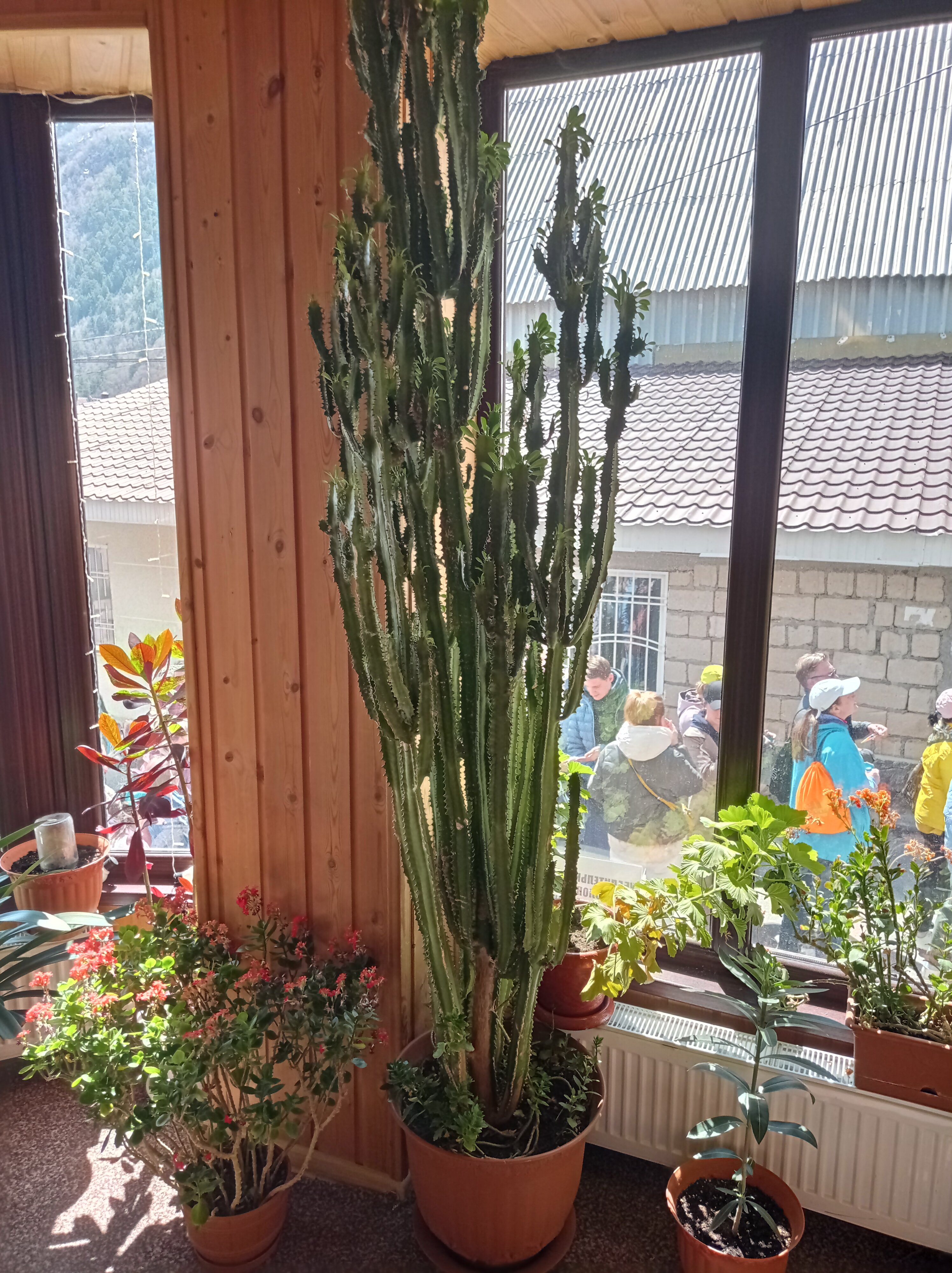 Фото Людмила