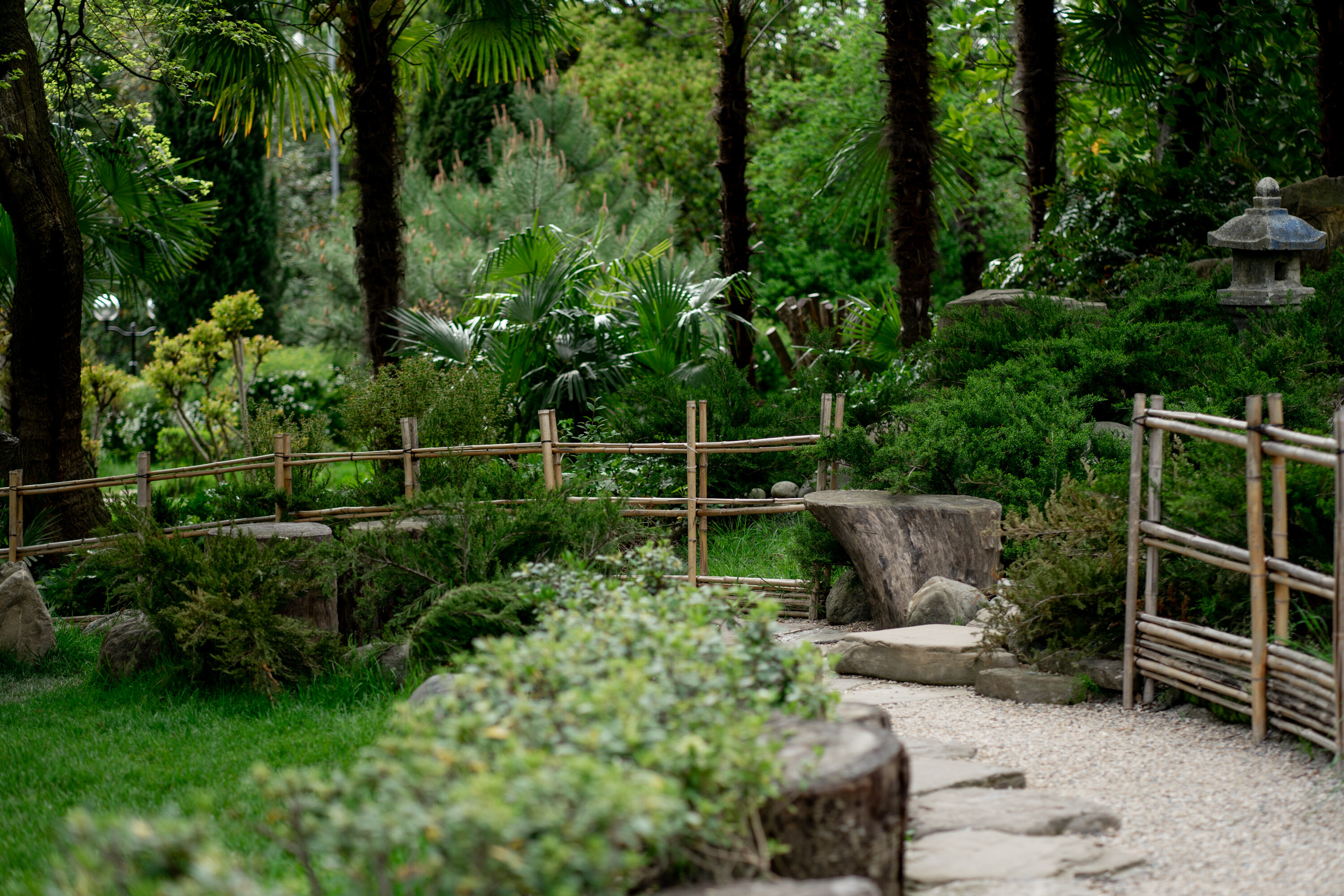 Фото Kailas Park & SPA by Stellar Hotels, Sochi