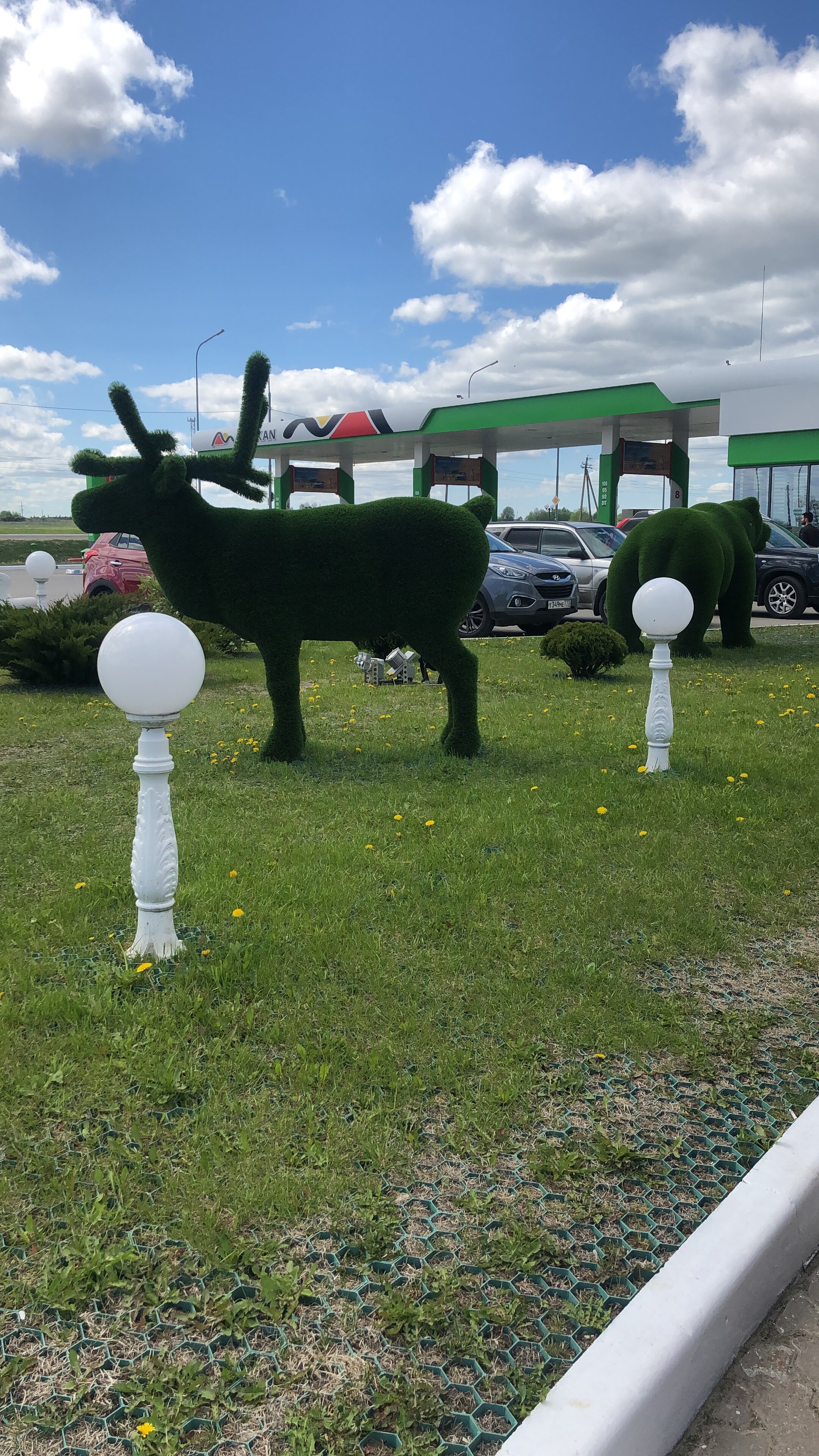 Фото Вулкан