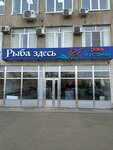 Рыба здесь (ул. Селезнёва, 4/3А), рыба и морепродукты в Краснодаре