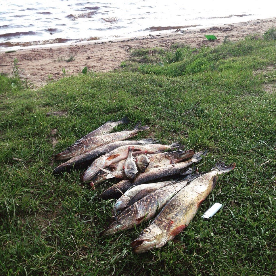 Фото Грузино-4