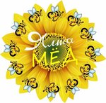 Yalta Honey (Южнобережное шоссе, 42), honey and beekeeping