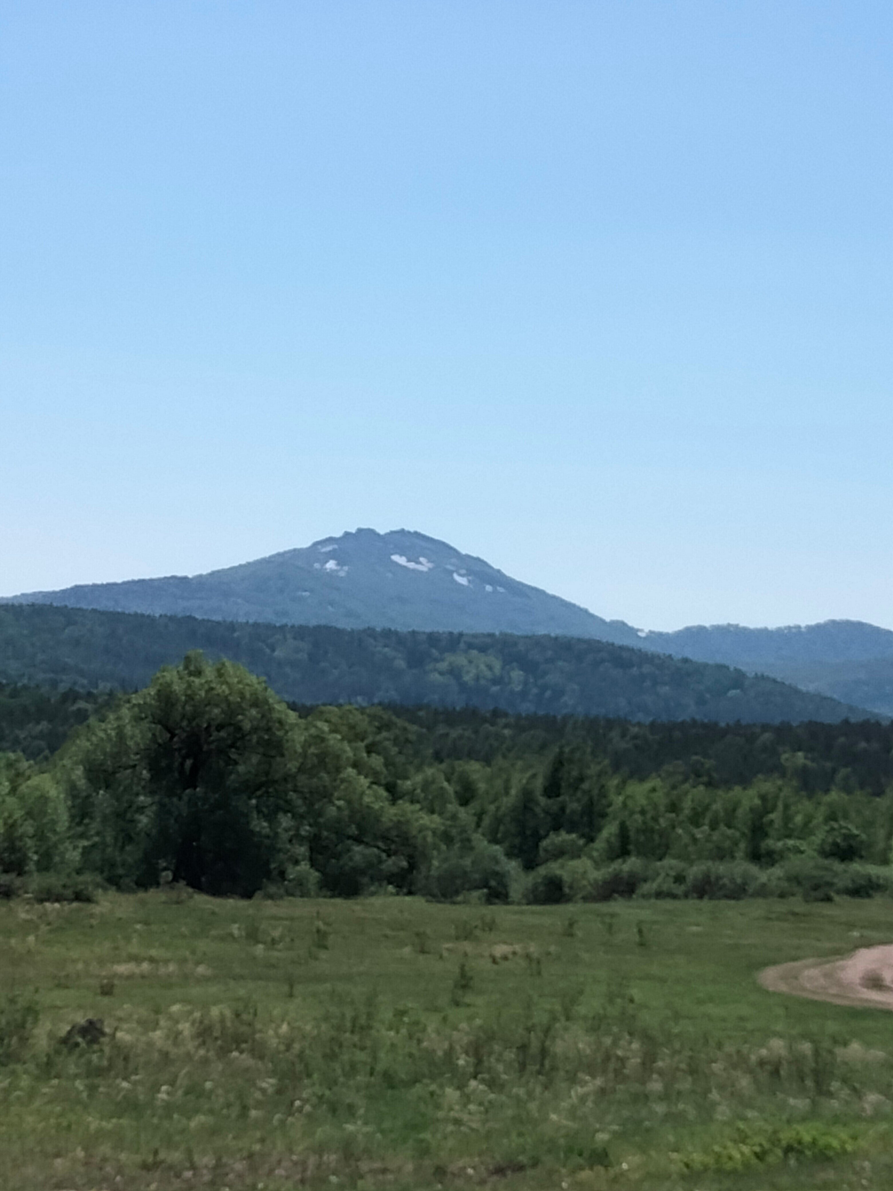 Фото Медная Сова