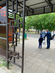 Vashod (Magiliowski rajon, Viajnianski sieĺsaviet, ahraharadok Vaschod, Tsentralnaya ulitsa), public transport stop