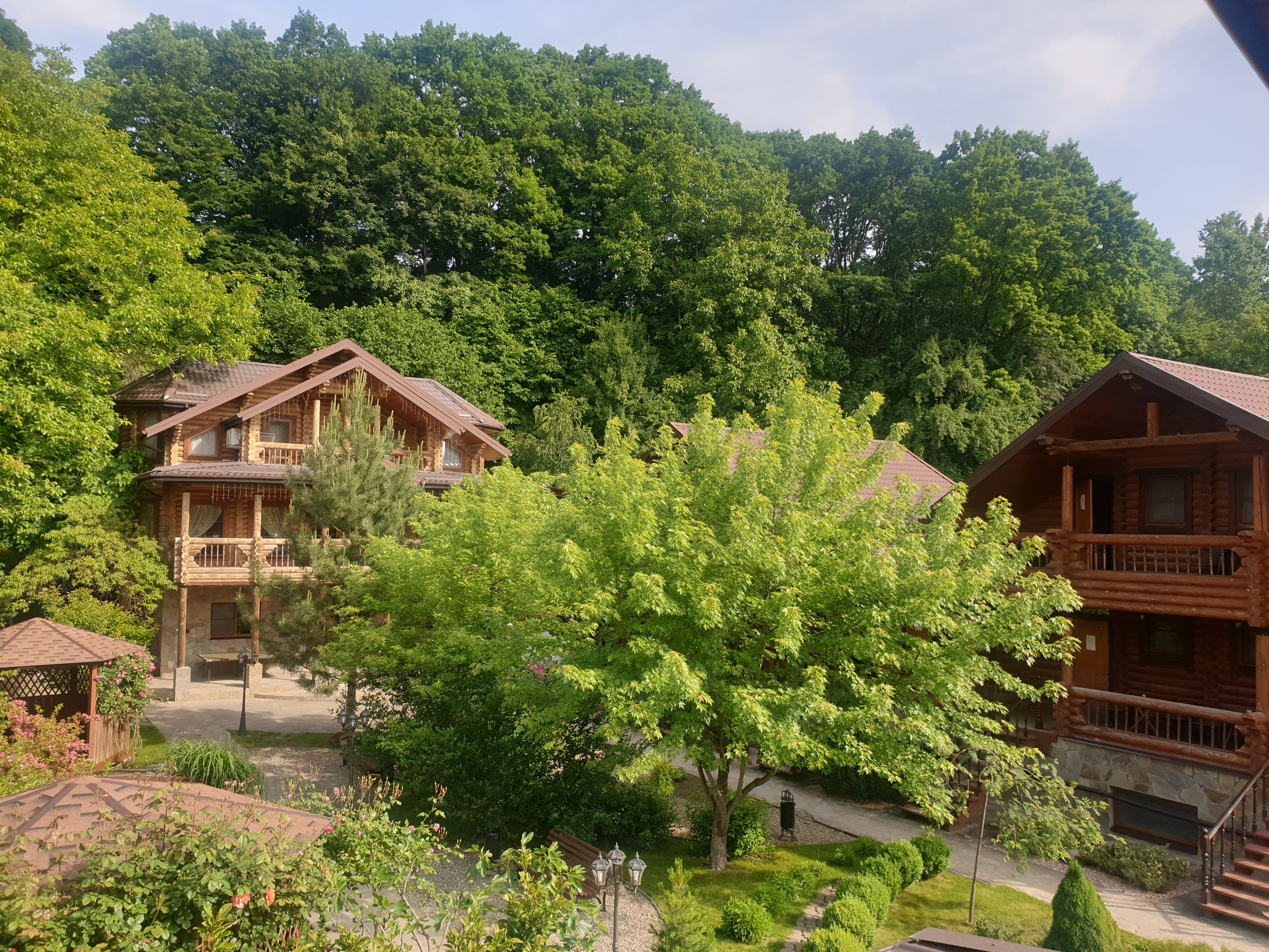 Фото Рябиновые бусы