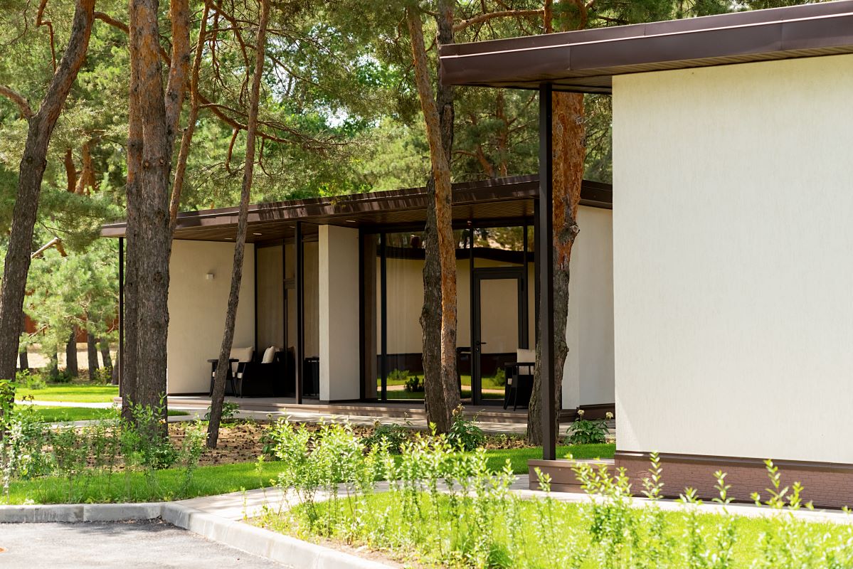 Фото Наша Хвоя