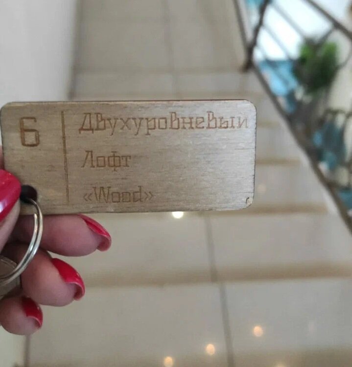 Фото Наутилус