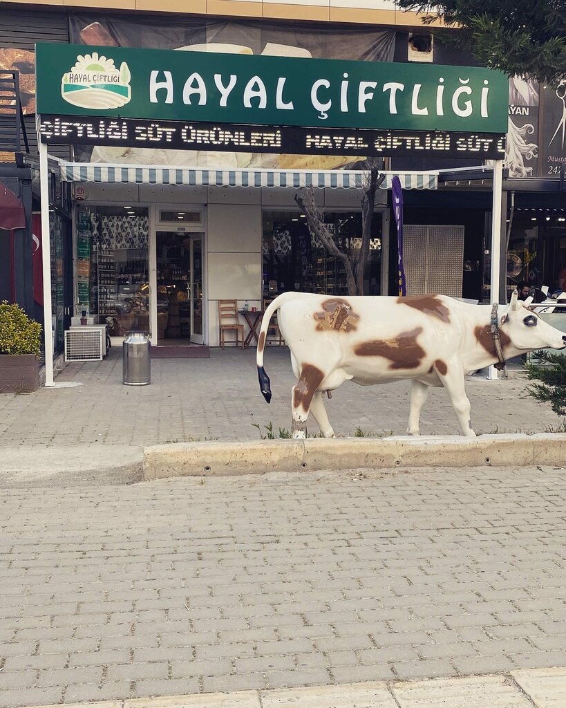 Mandıra Hayal Çiftliği Mandıra & Şarküteri, Bursa, foto