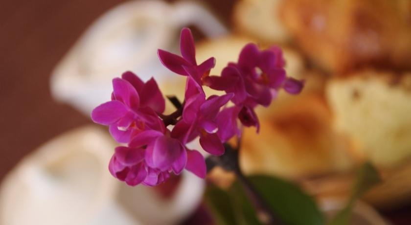 Фото Hotel Ariana 