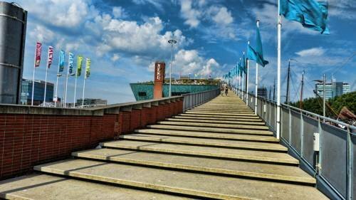 Гостиница Plantage Hortus Apartments в Амстердаме