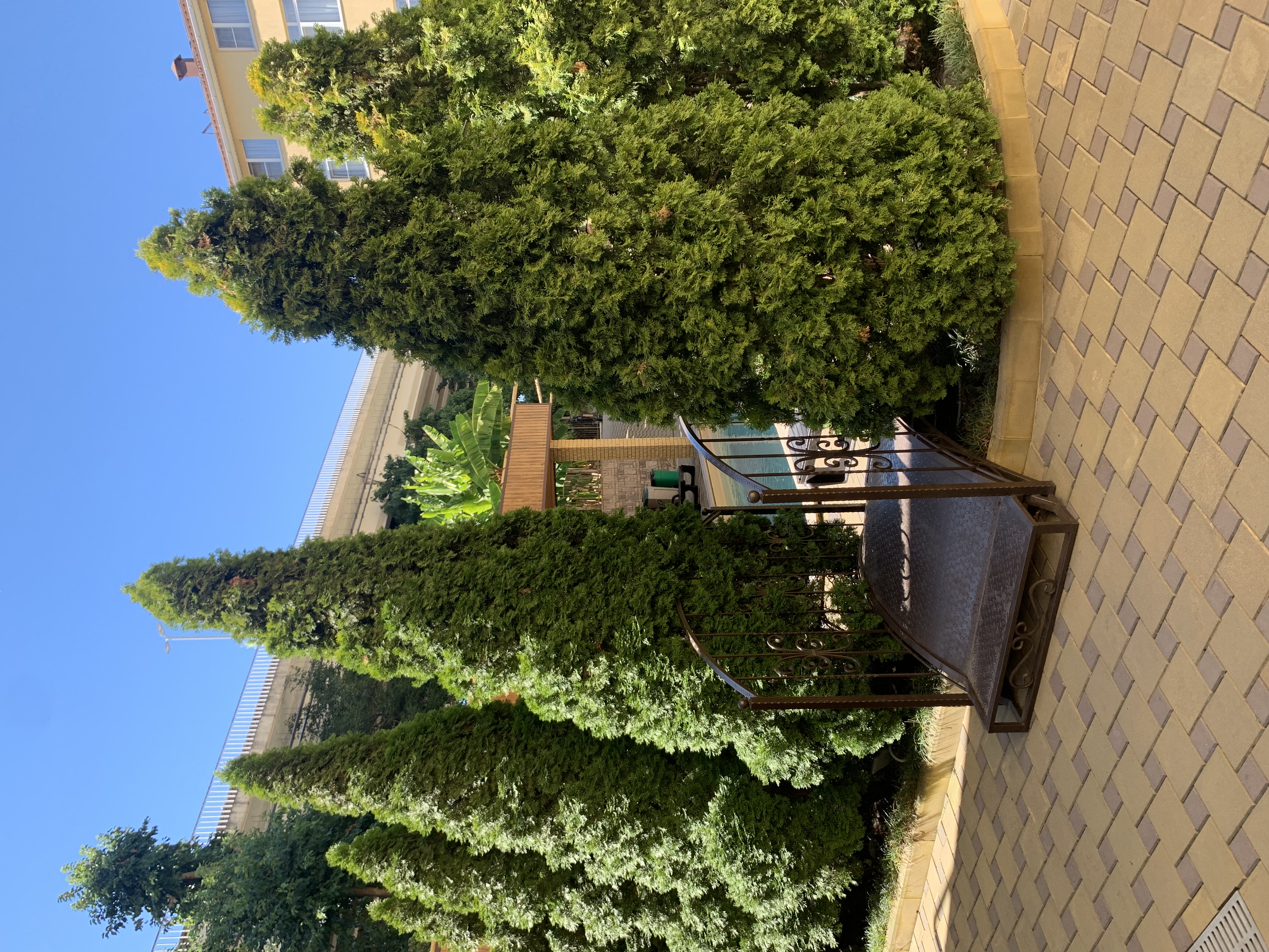 Фото Грин Хоста