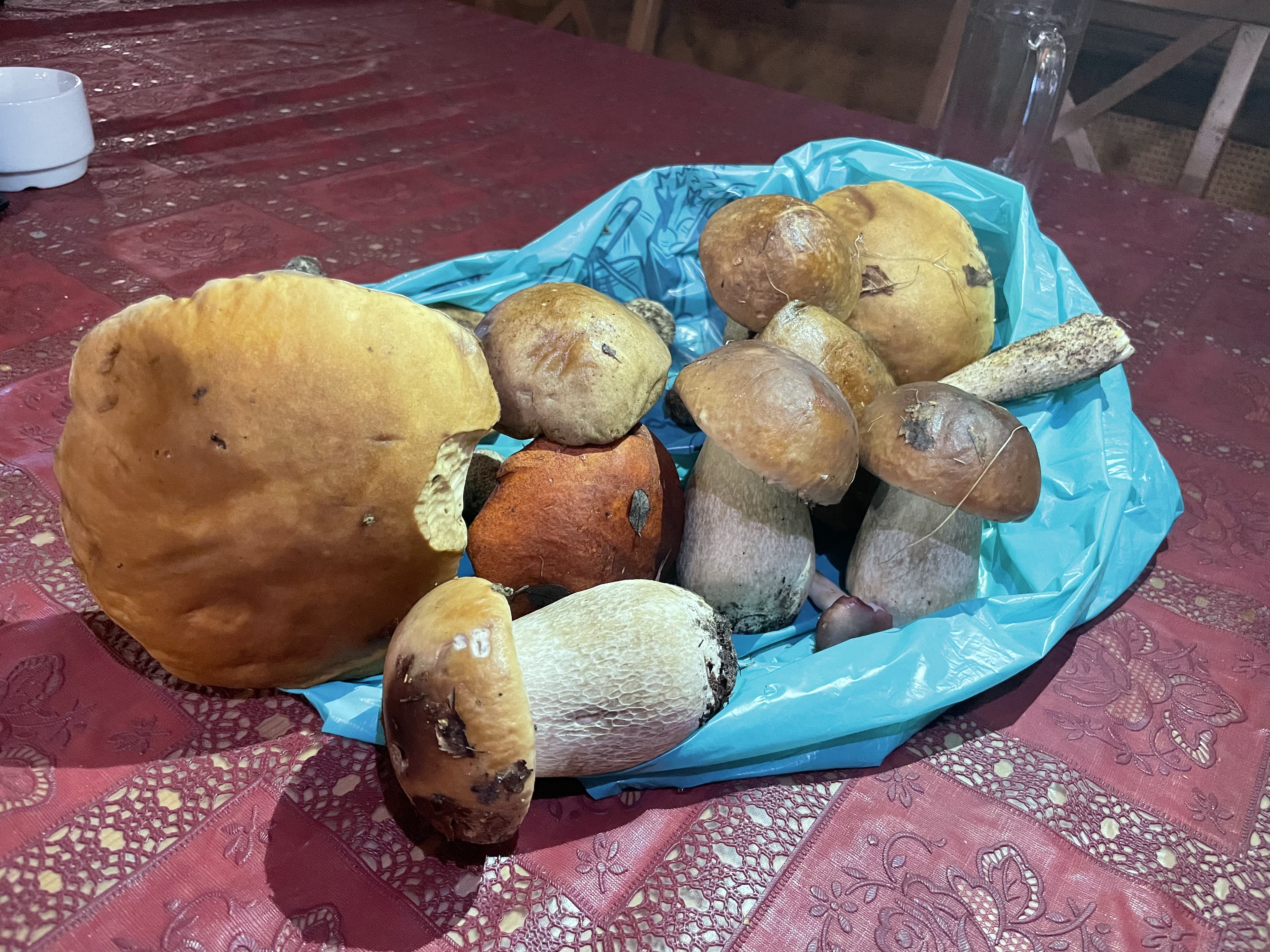 Фото Большая Волга