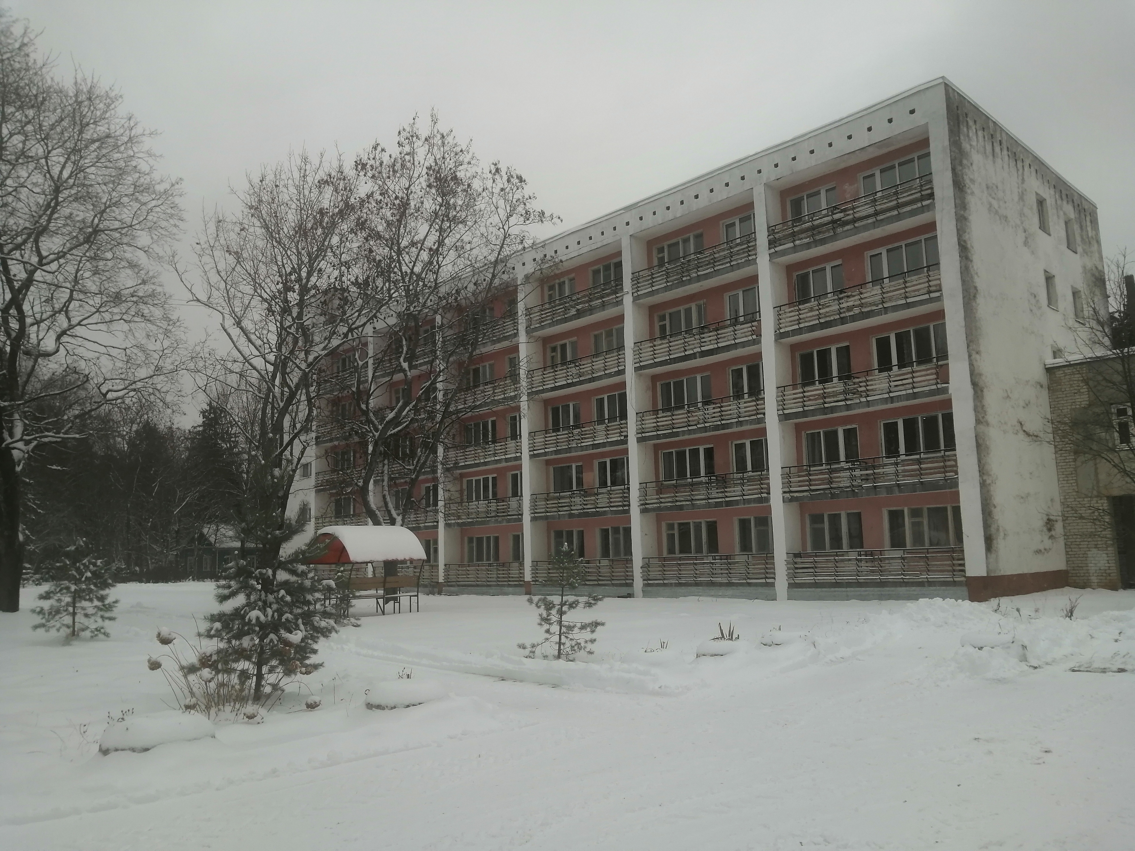 Фото Красный бор