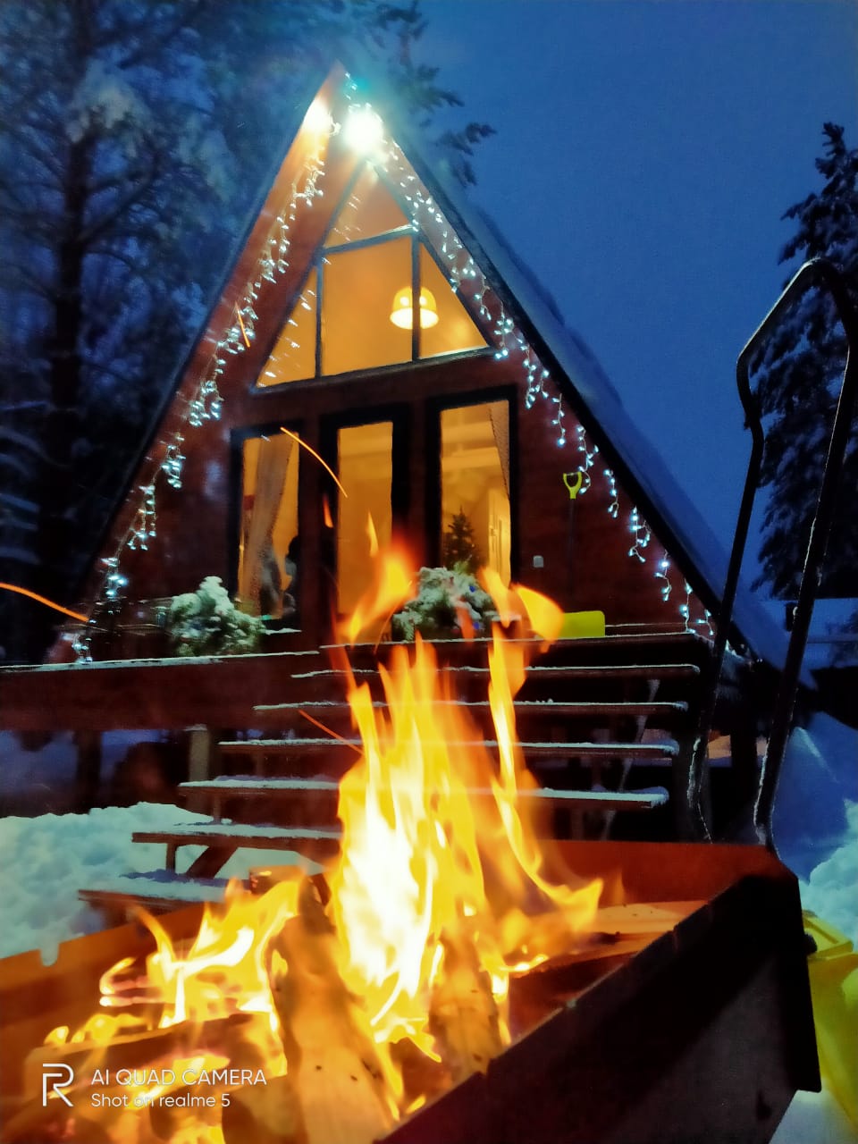 Фото Чик-чирик