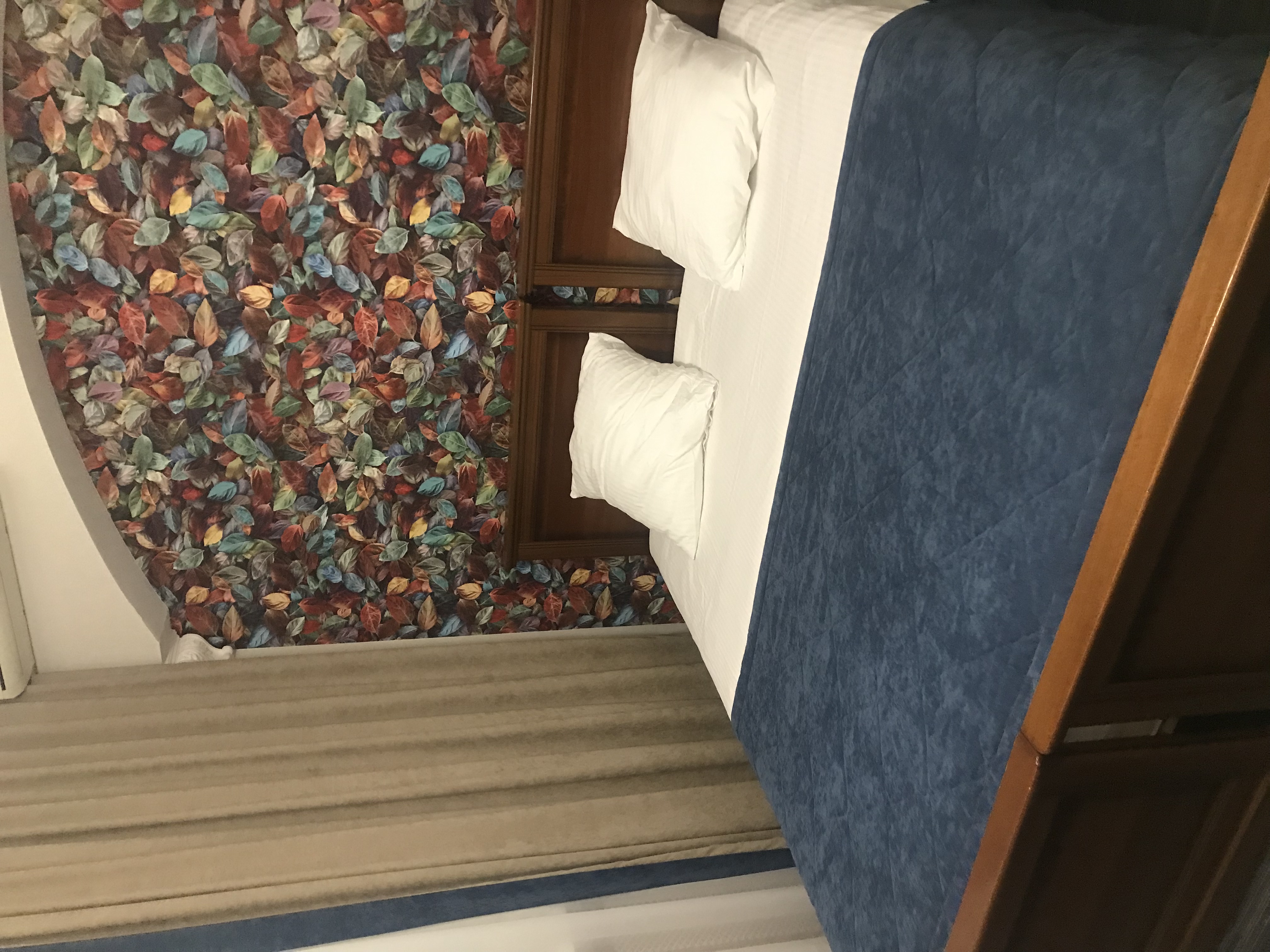 Фото Глория