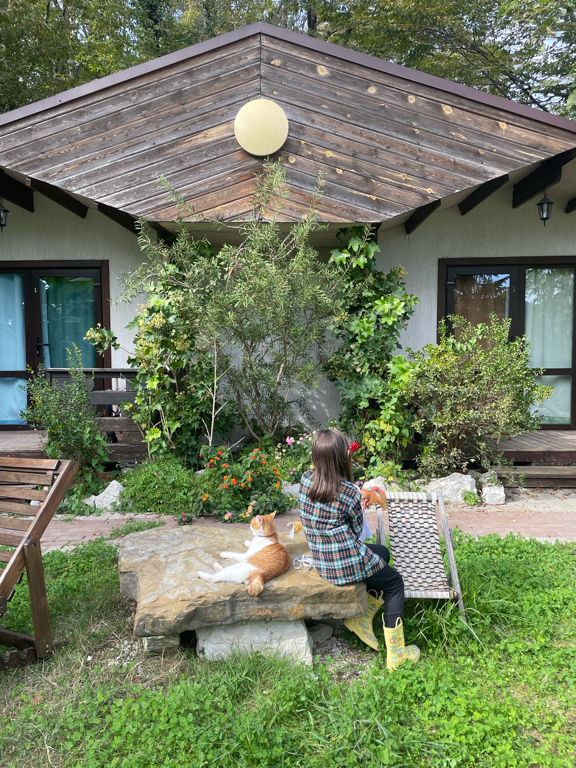 Фото Лесное царство