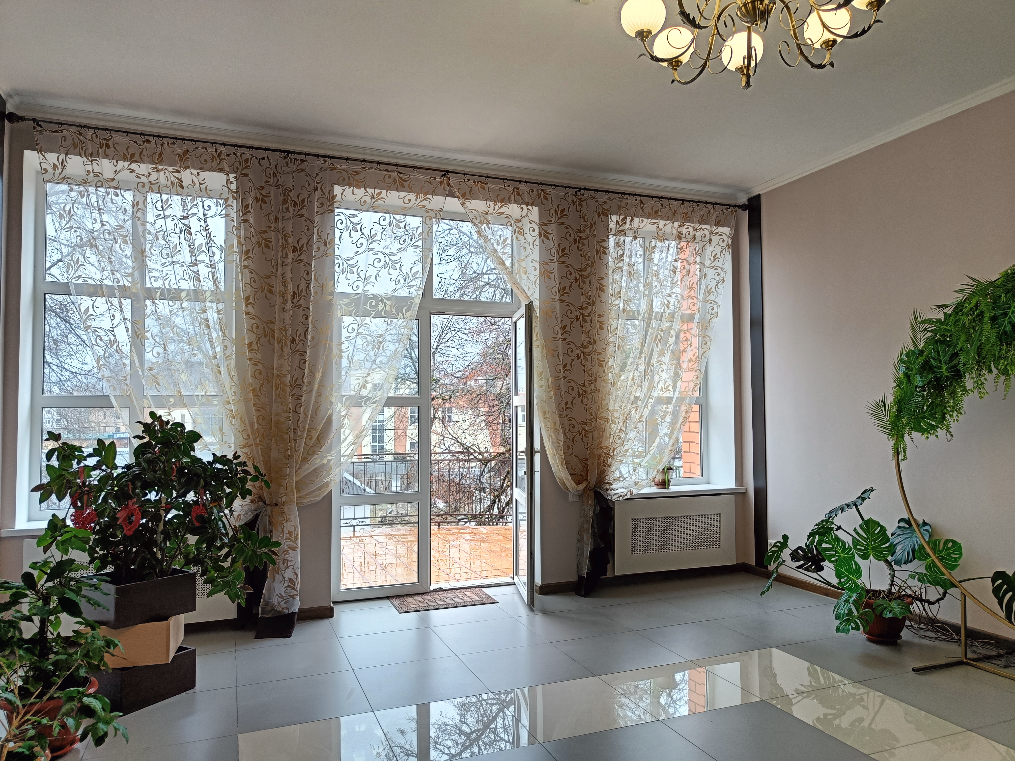 Фото Астерия