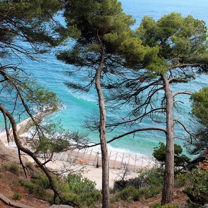 Фото Рубикон