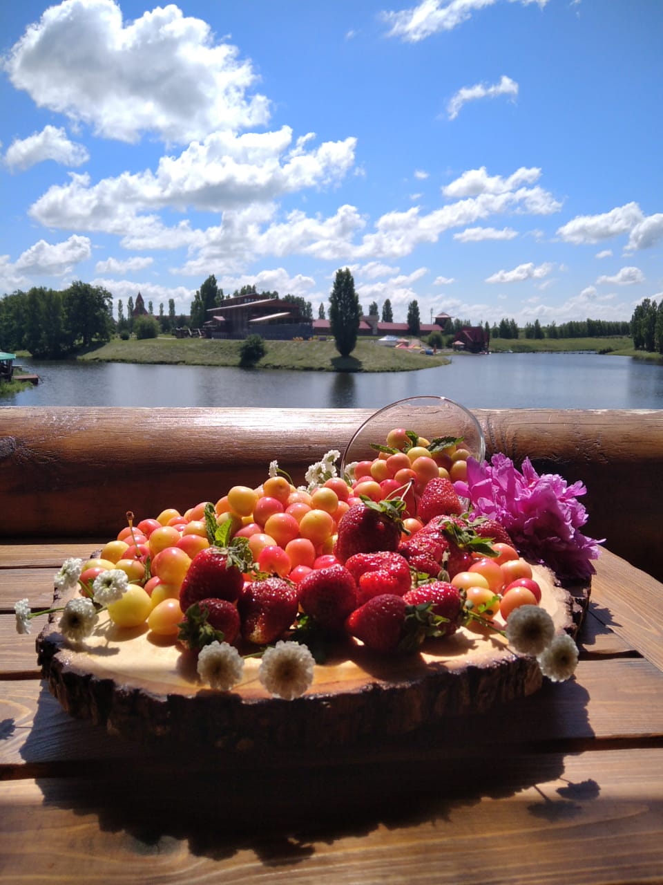 Фото Кленовая роща