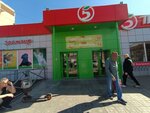 Zoomir (250 letiya Chelyabinsk Street, 11), pet shop