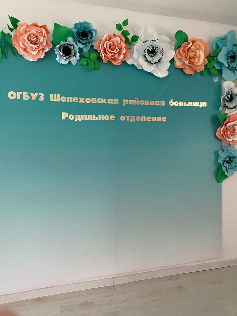 قسم المستشفى Ogbuz Shelekhovskaya rayonnaya bolnitsa, otdeleniye patologii ، ، صورة