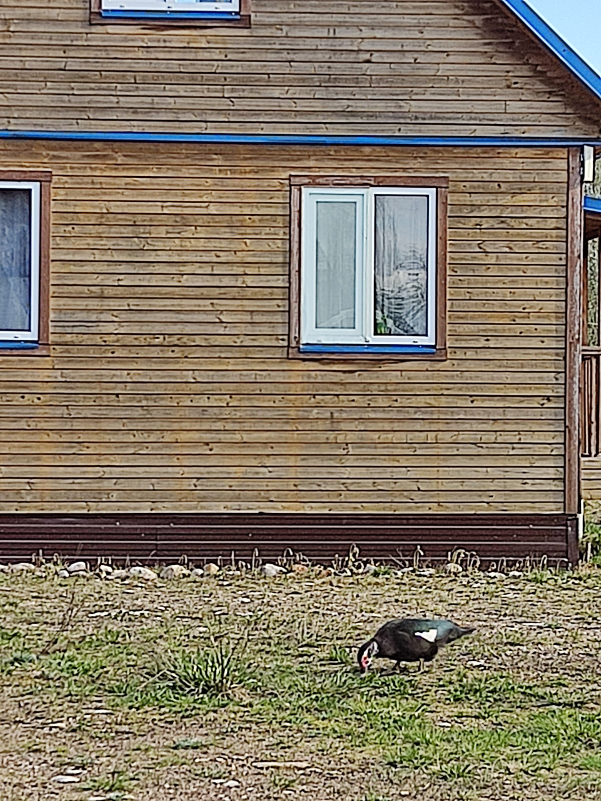 Фото Павловская Усадьба