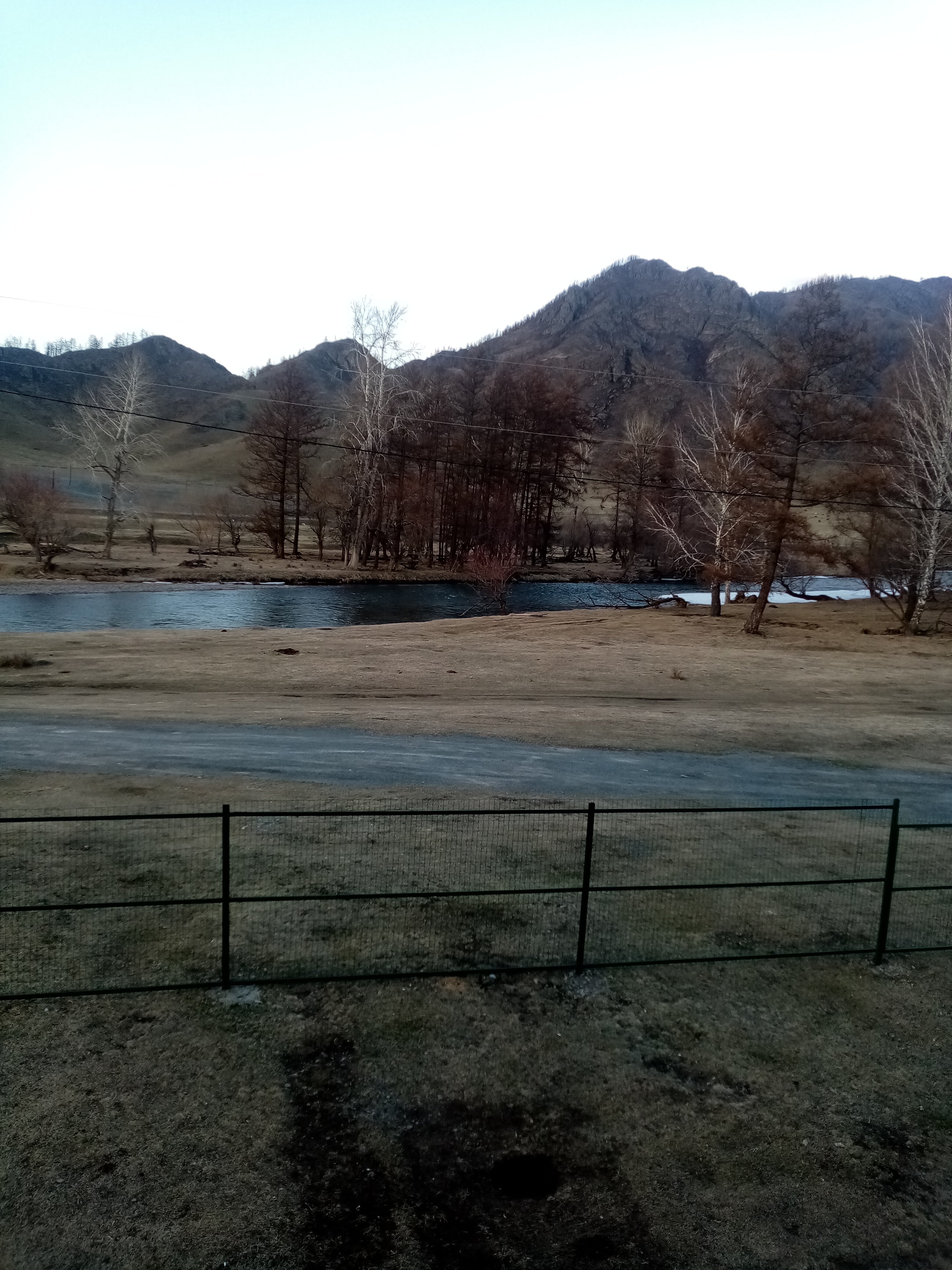 Фото Алтайские дачи