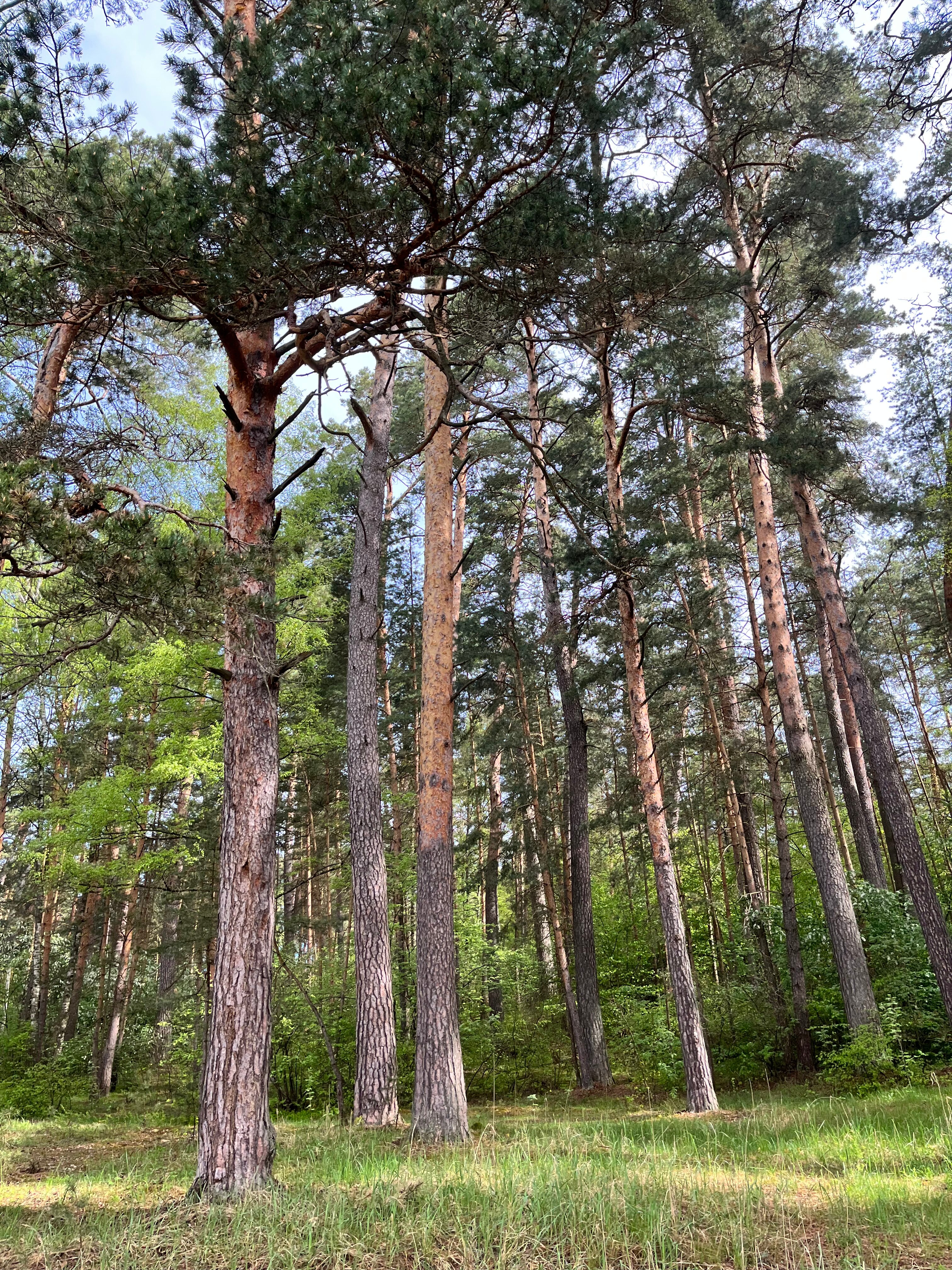 Фото Усадьба