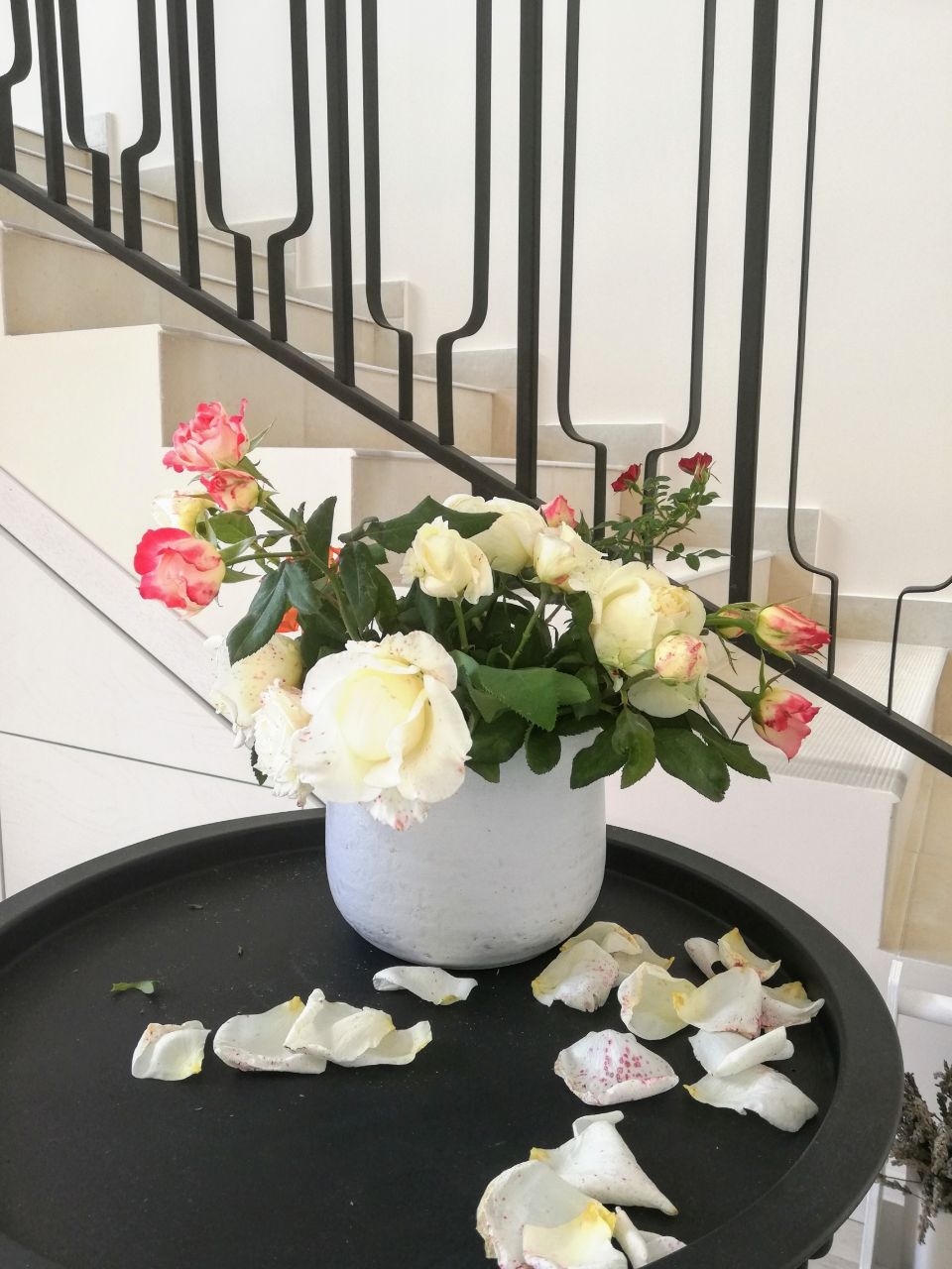 Фото Veronika Home Tbilisi