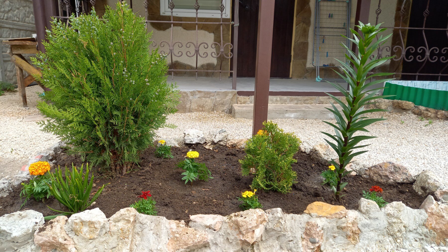 Фото Белый парус