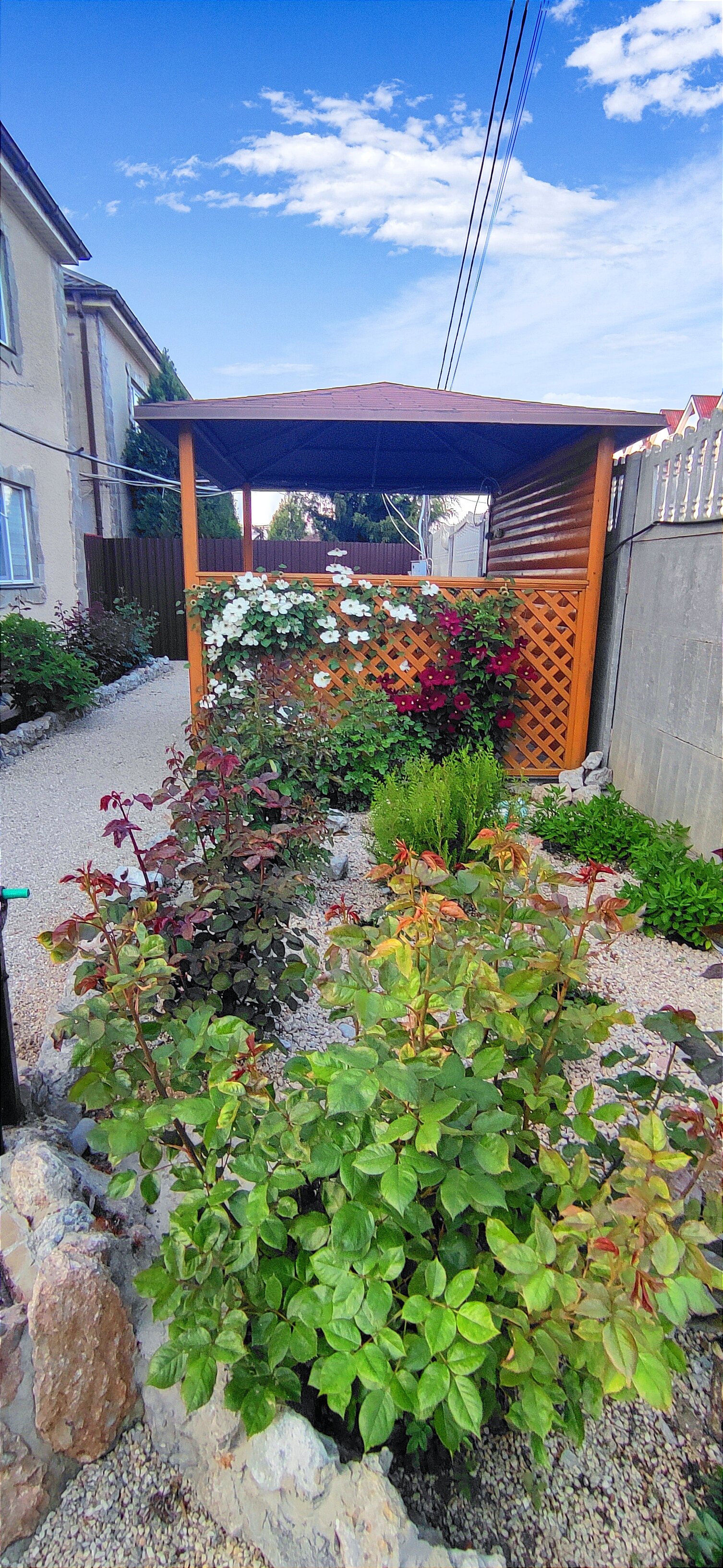 Фото Белый парус