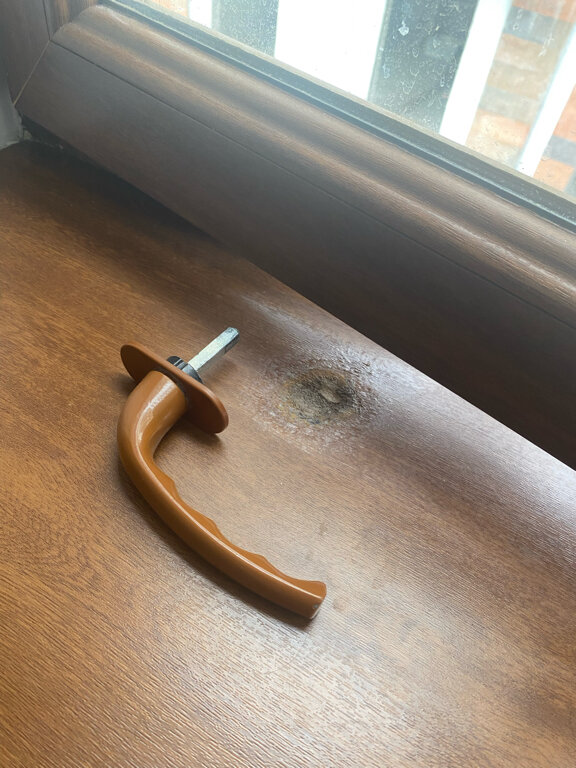 Фото The Friends