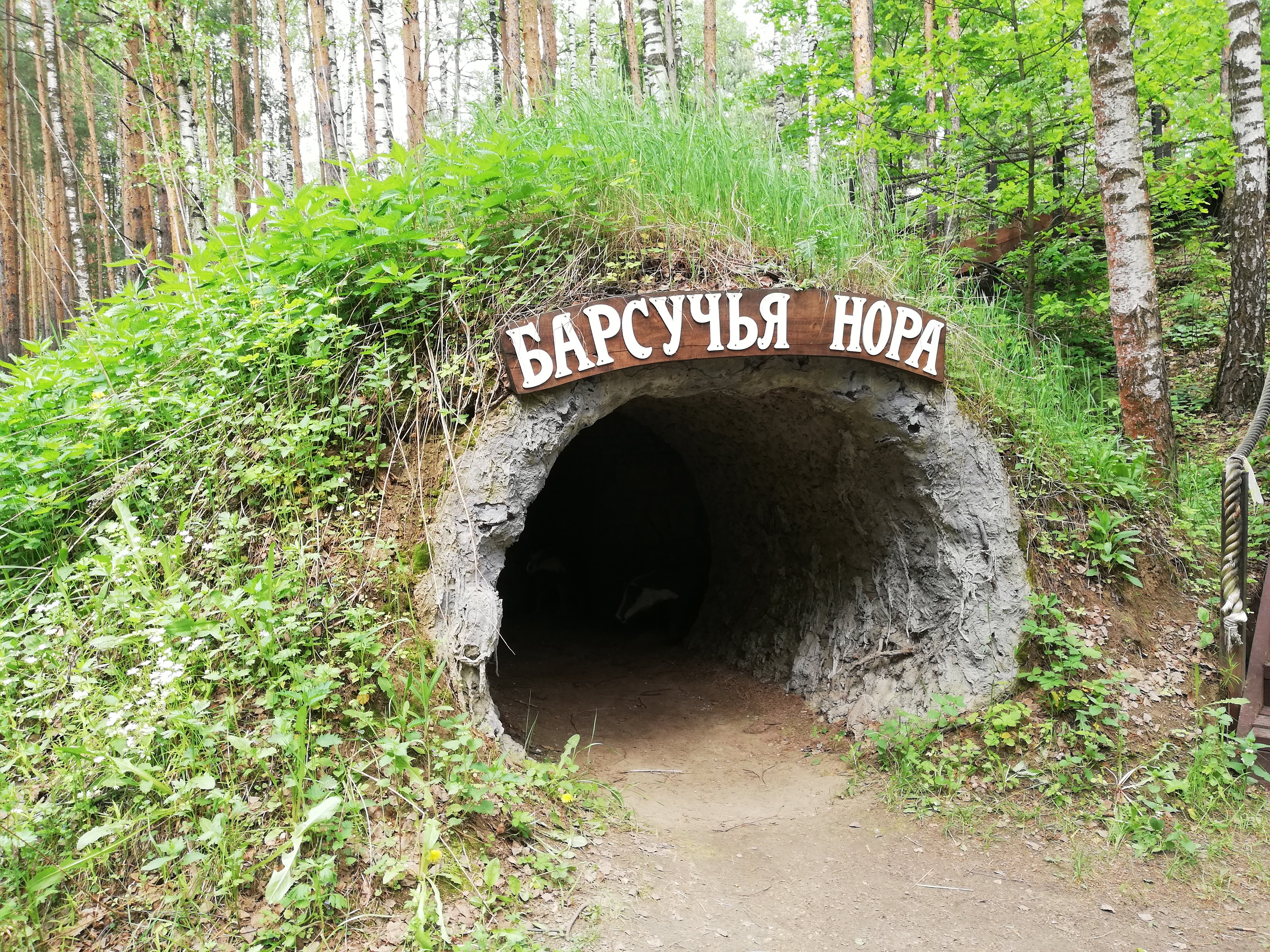 Дендрарий национальный парк лосиный остров фото Дендрарий лосиный остров отзывы: найдено 86 изображений