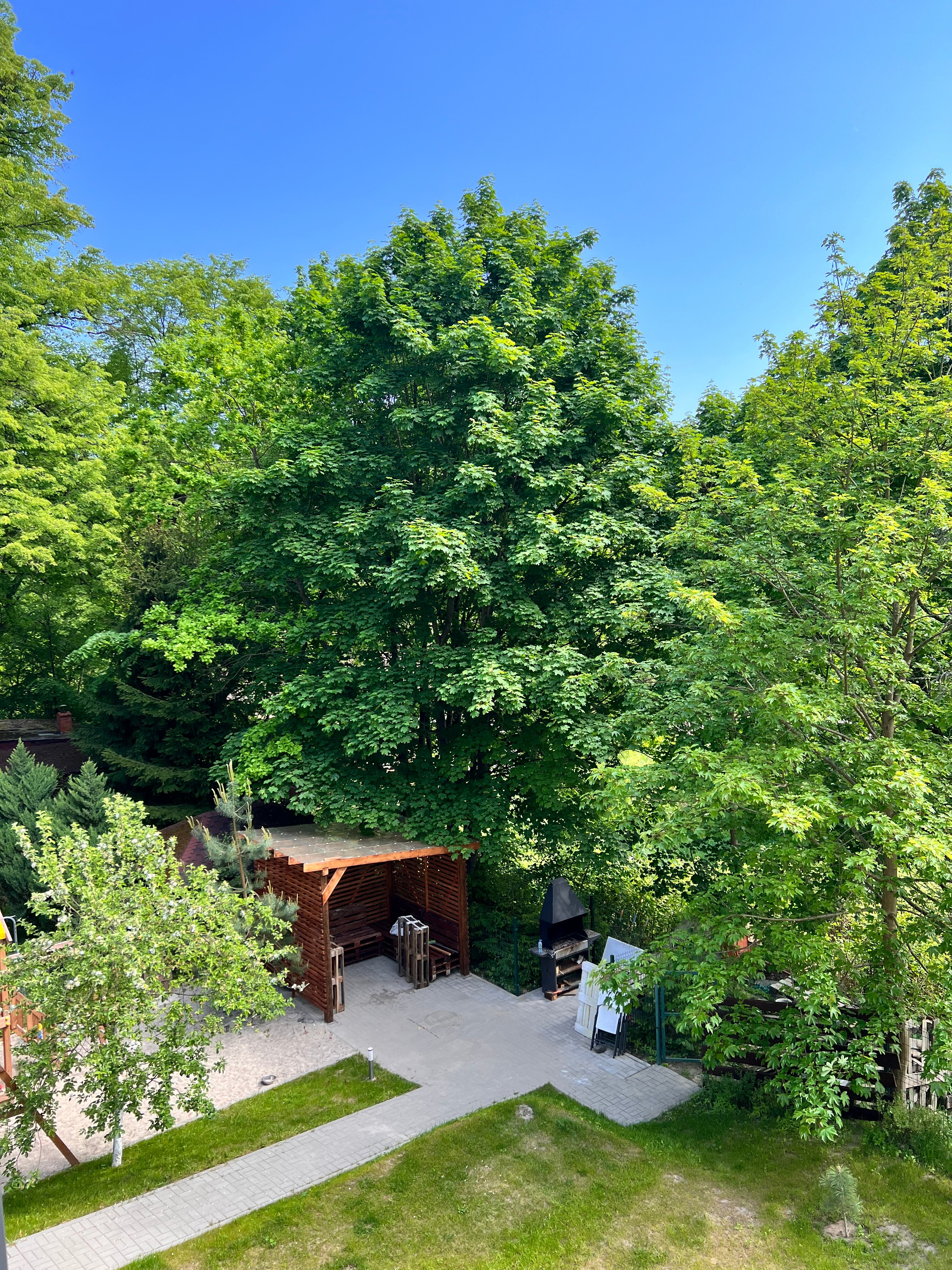 Фото Whale apart