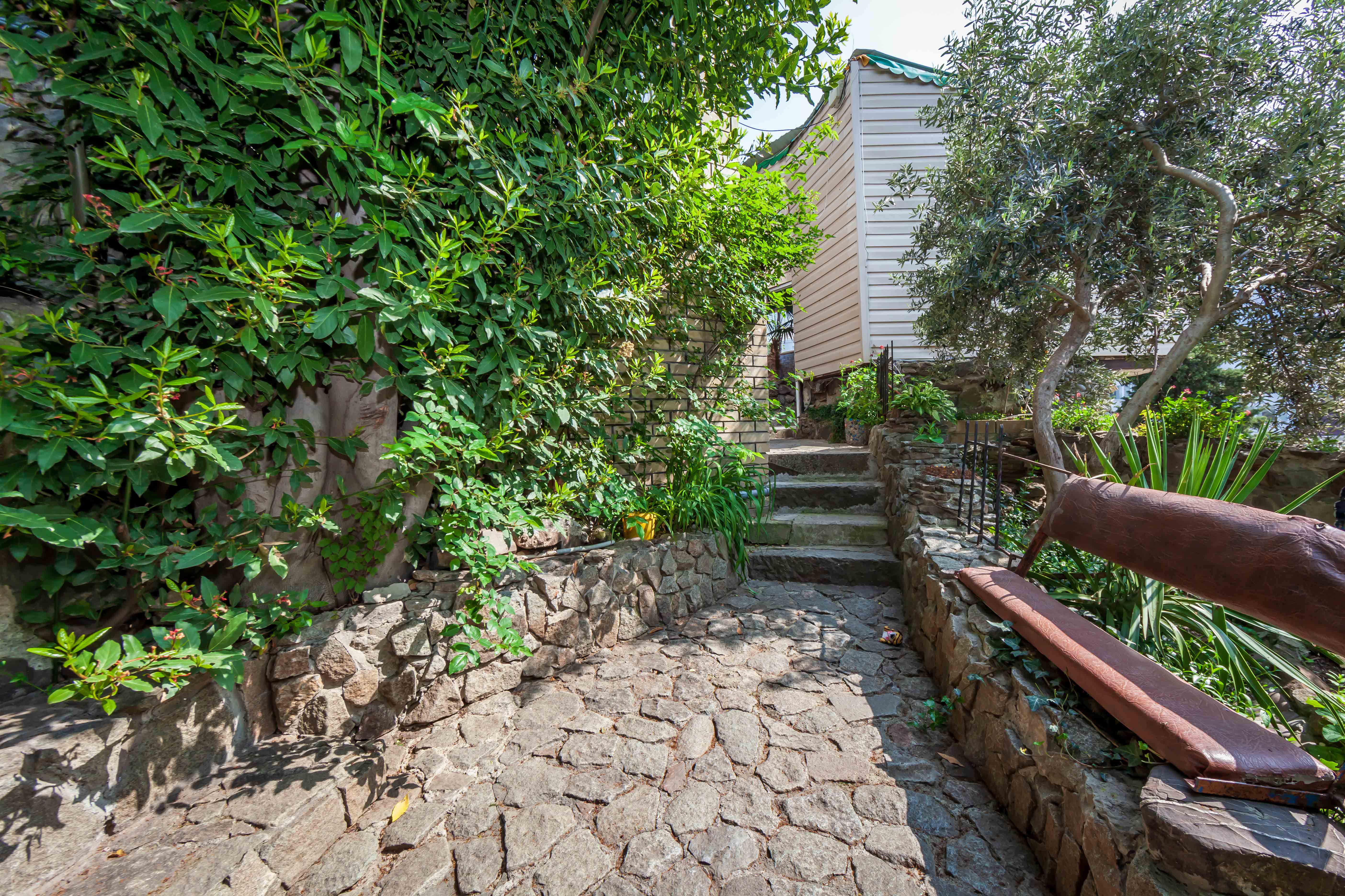 Фото Ласточка