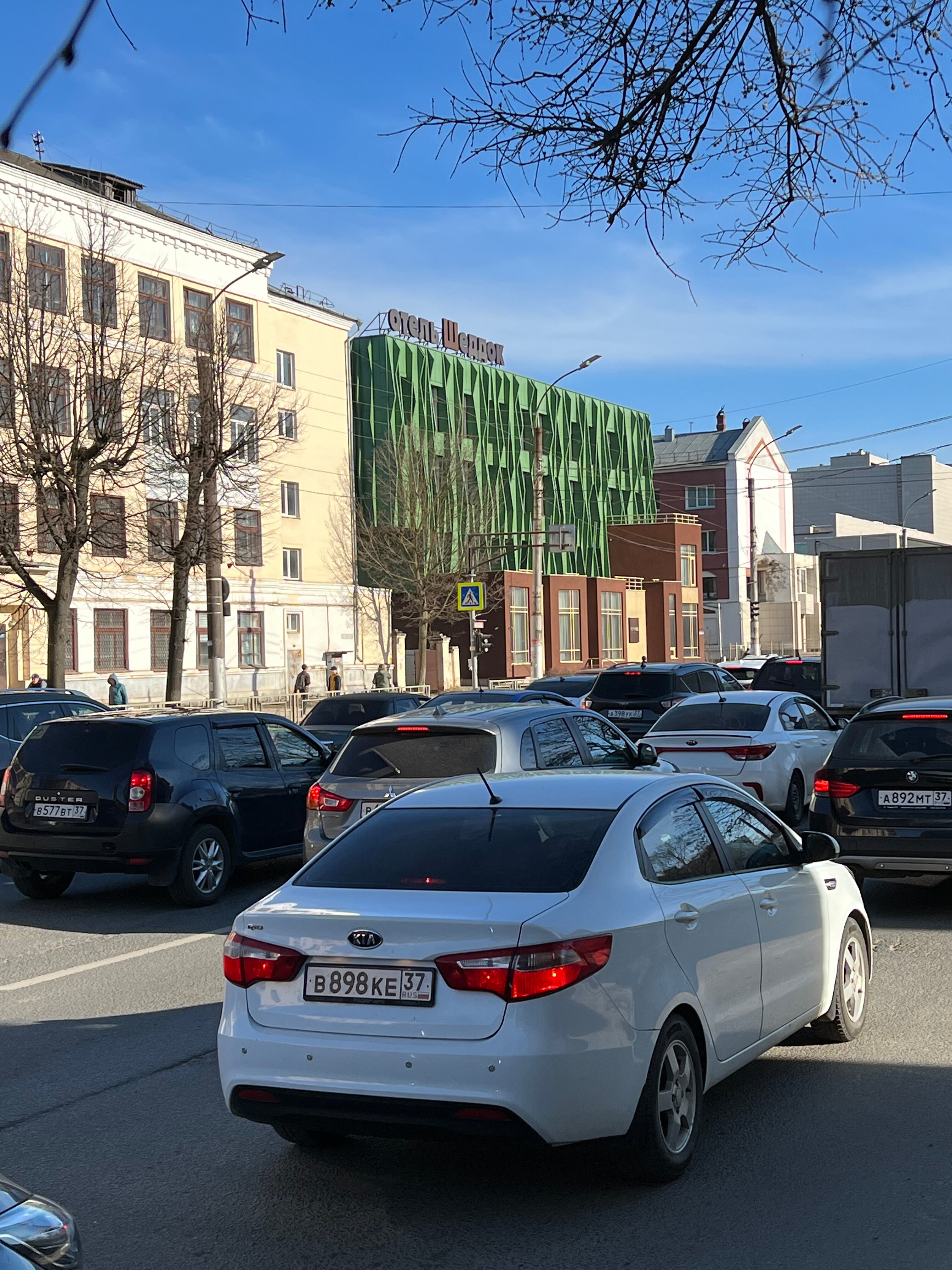 Фото Шеддок