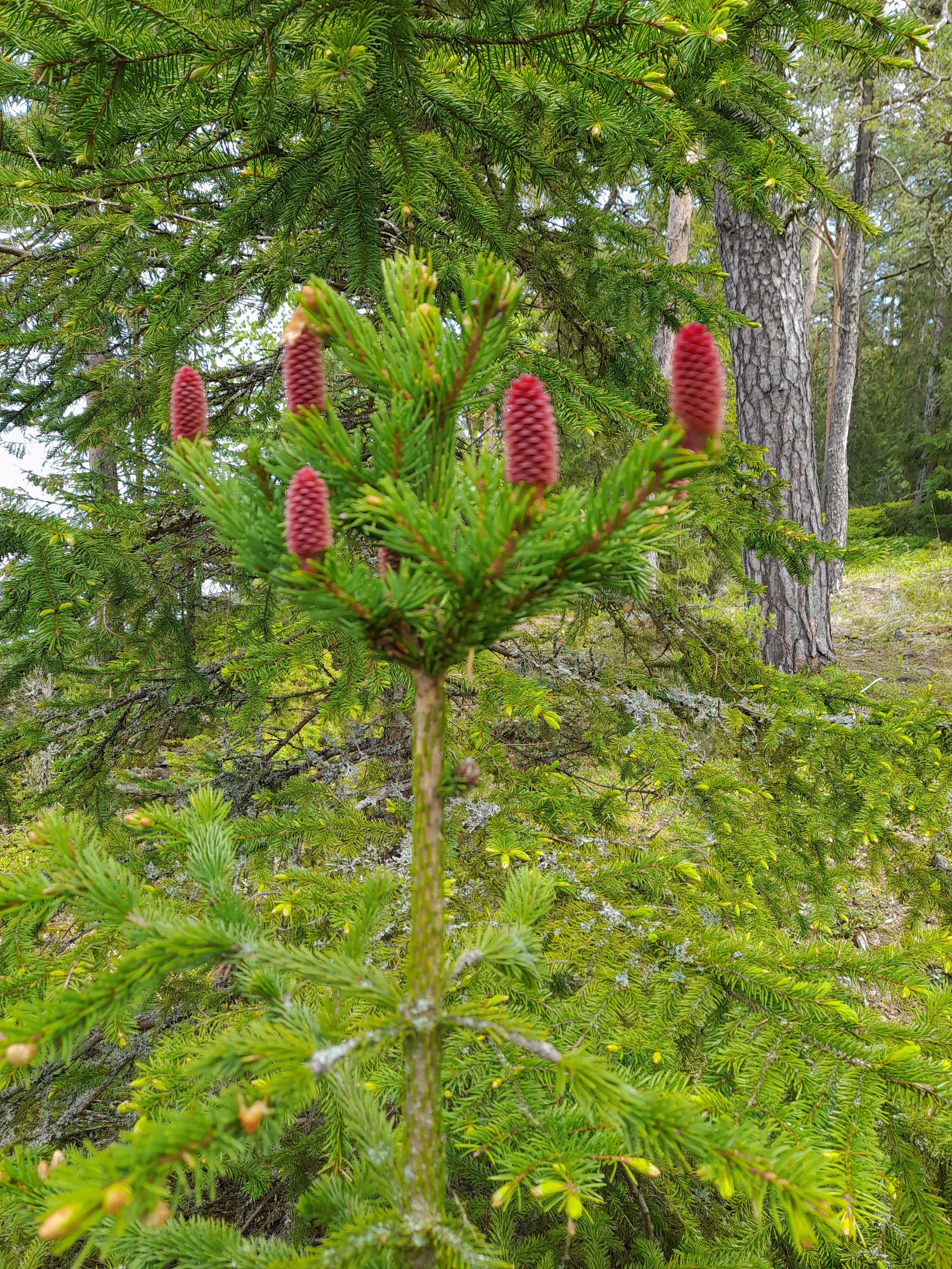 Фото Длинный берег
