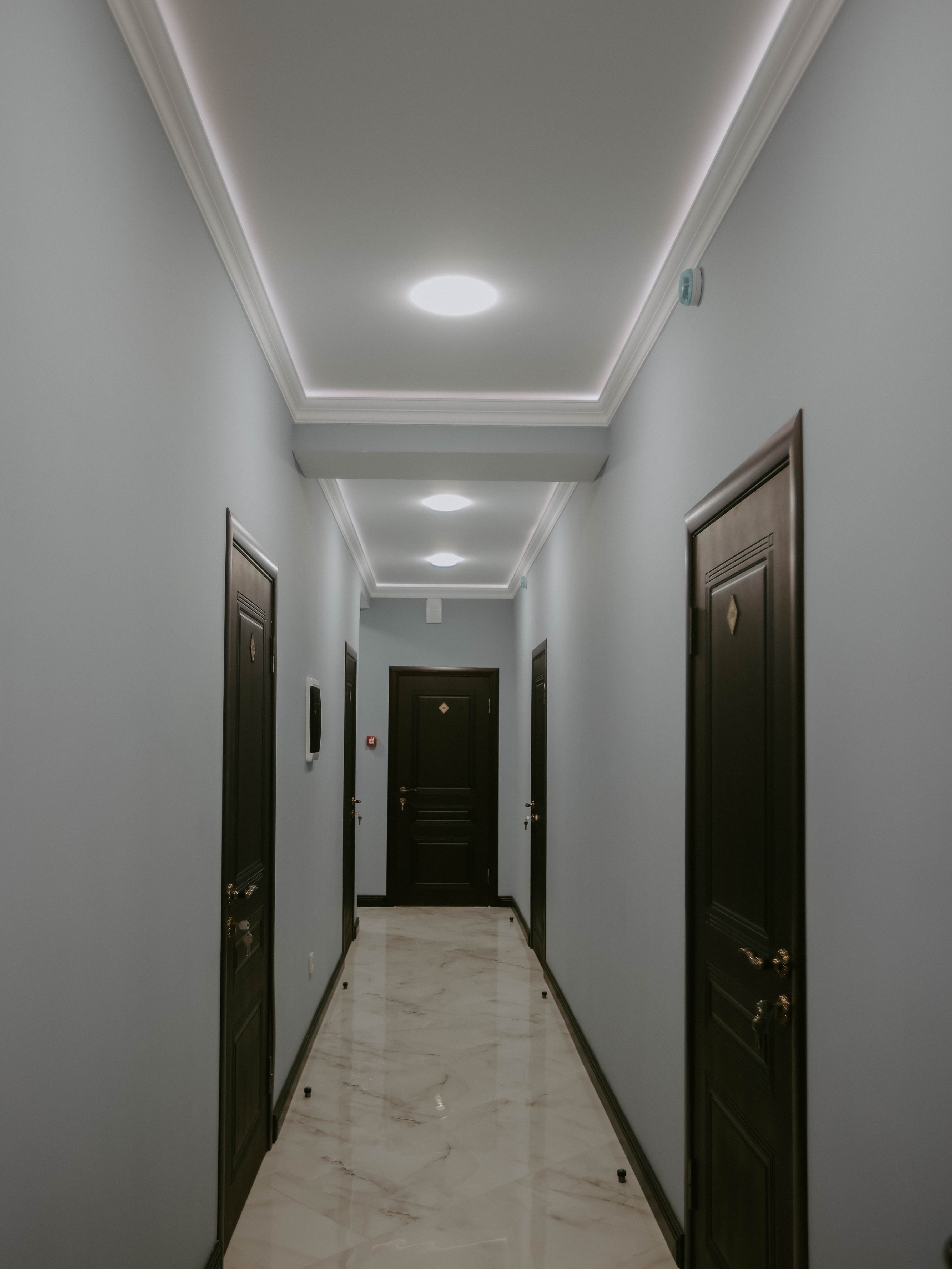 Фото Феникс