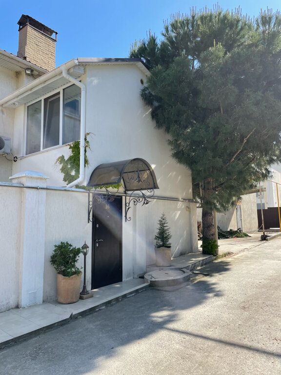 Фото Шафран