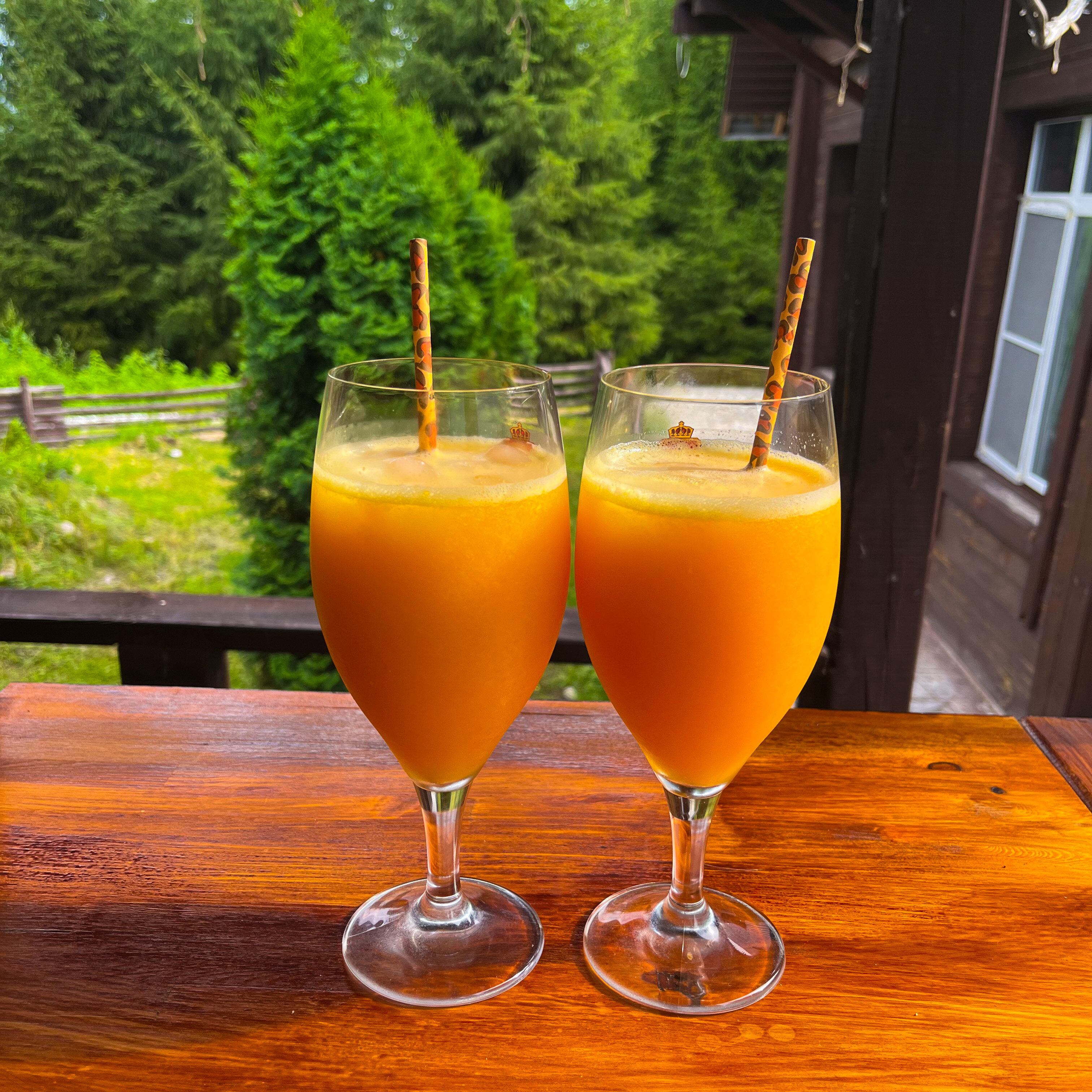 Фото Отрада