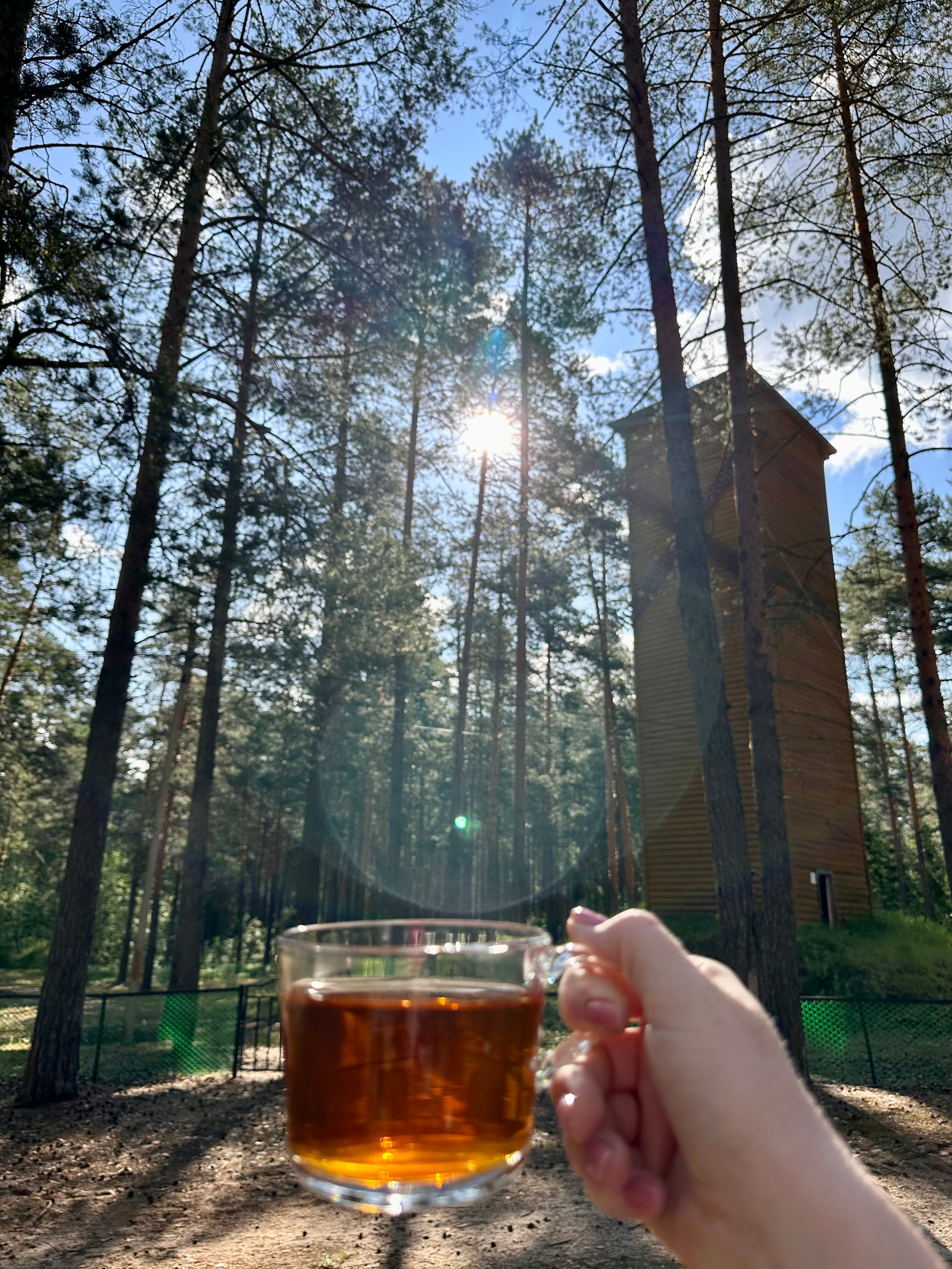 Фото Нью-Ветлуга-Парк