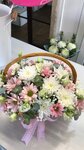 Alika Flowers (ulitsa Lenina, 1), flower shop