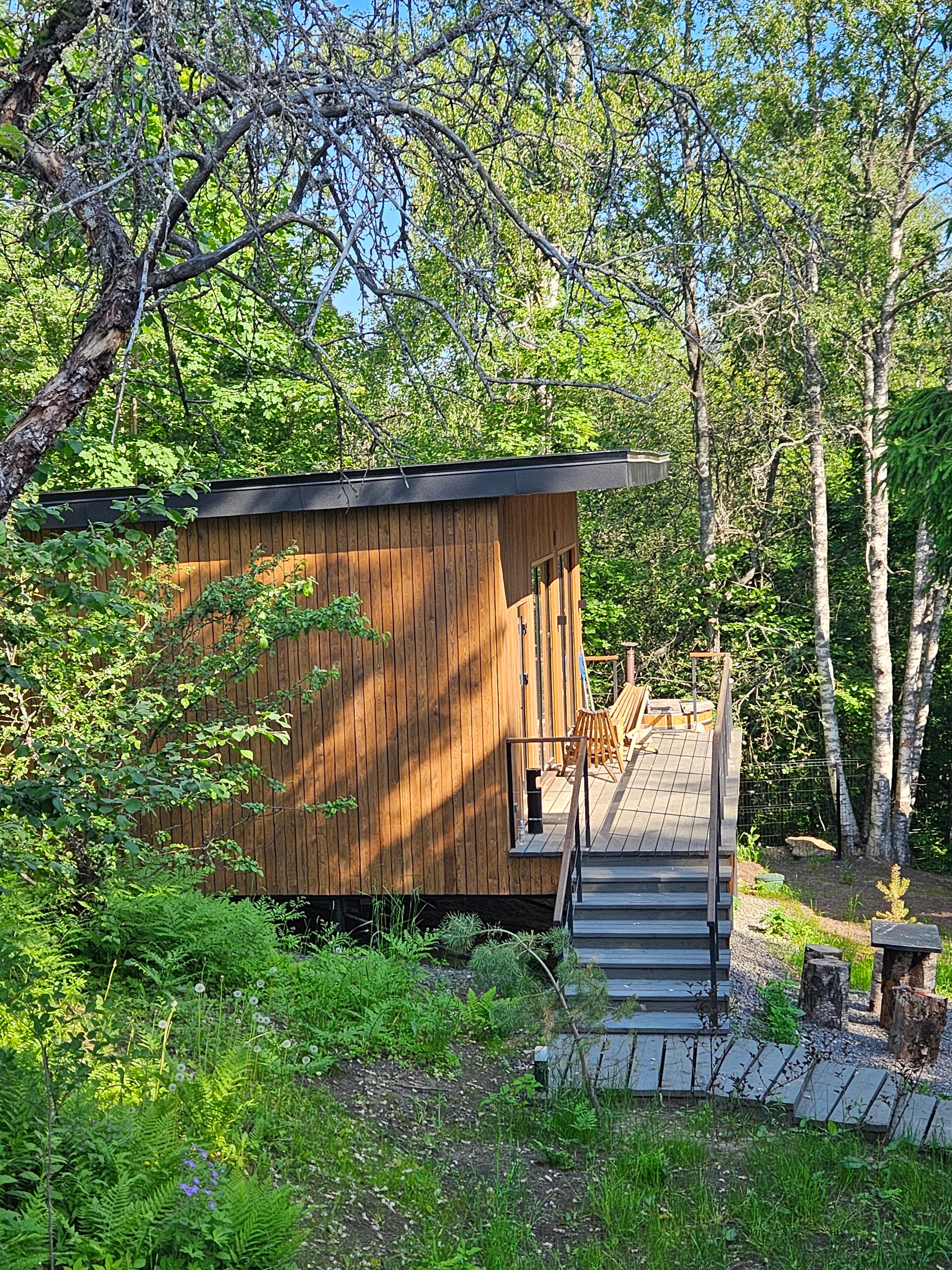 Фото Лесной восход