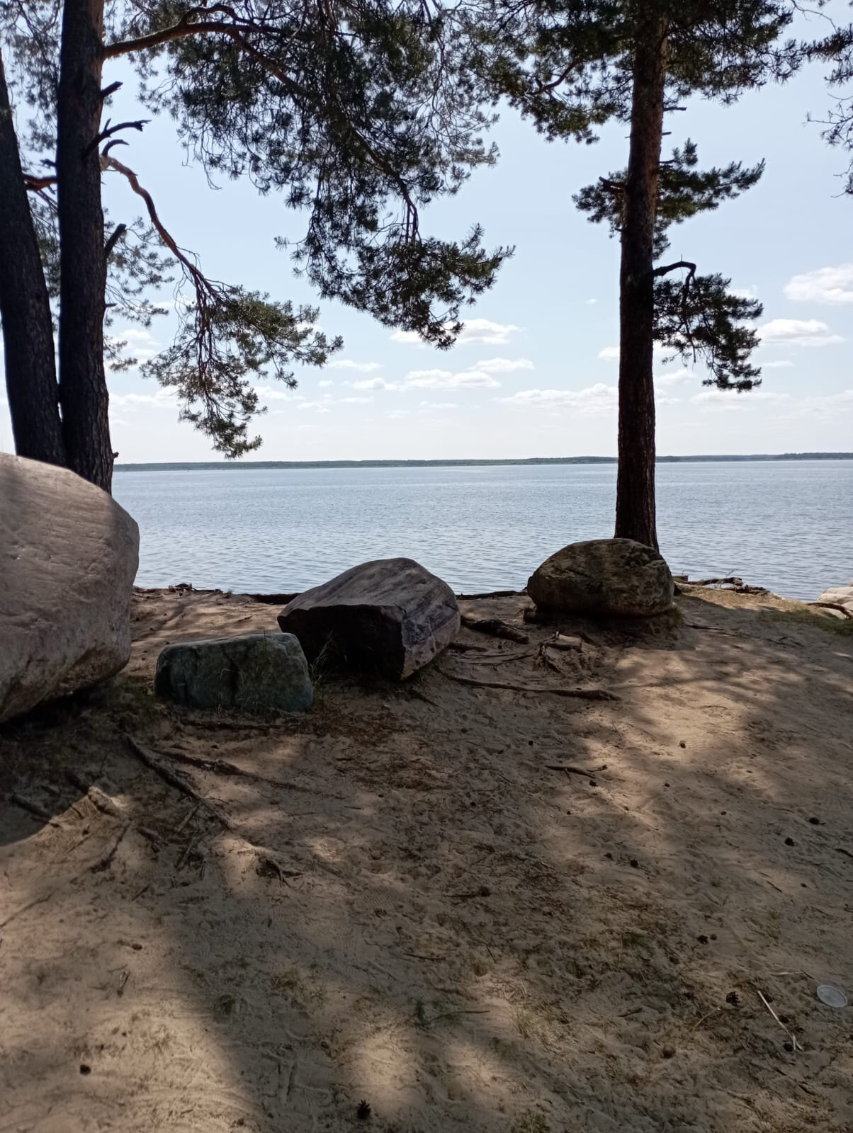 Фото Волга-Волга