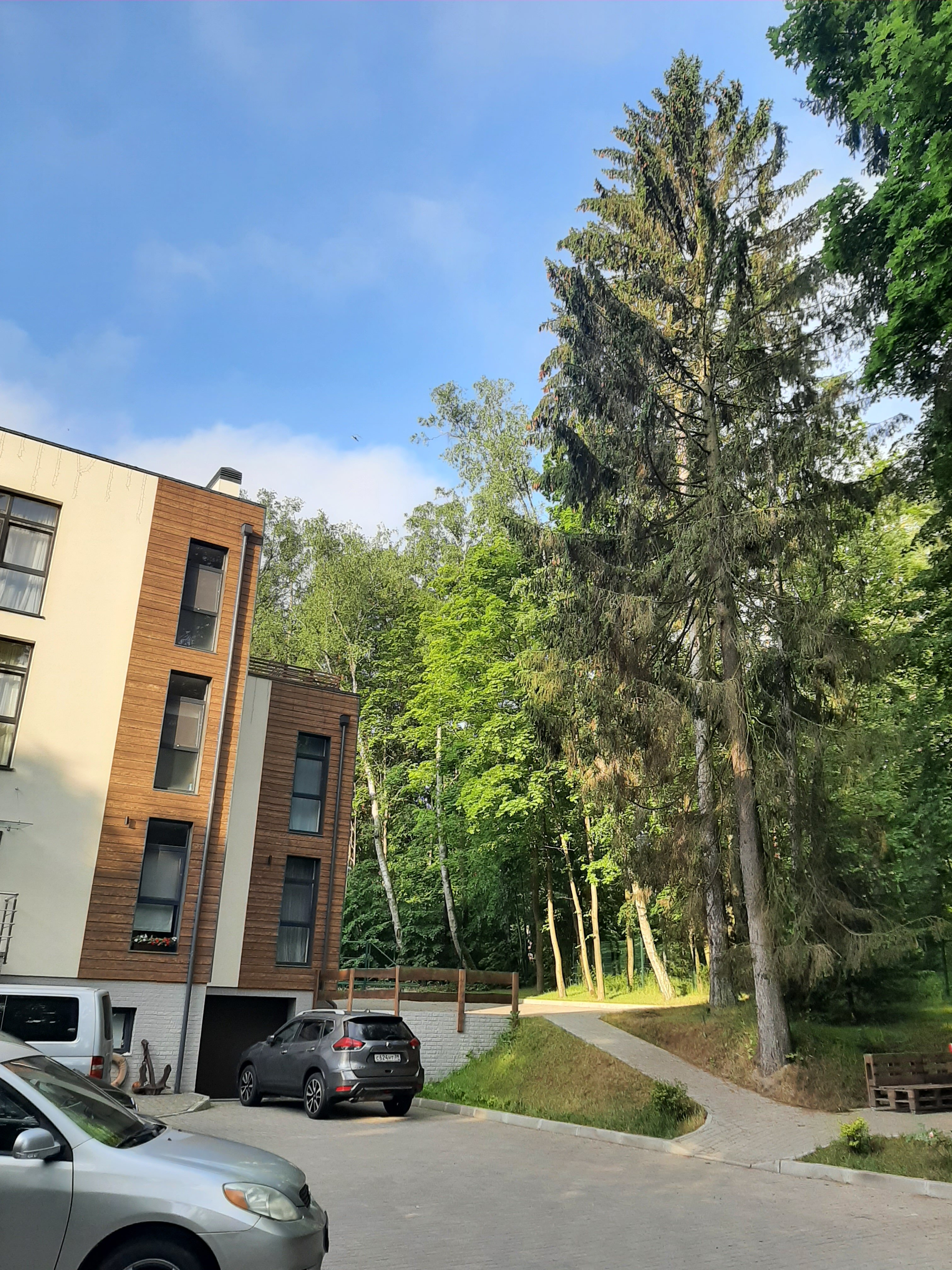 Фото Whale apart