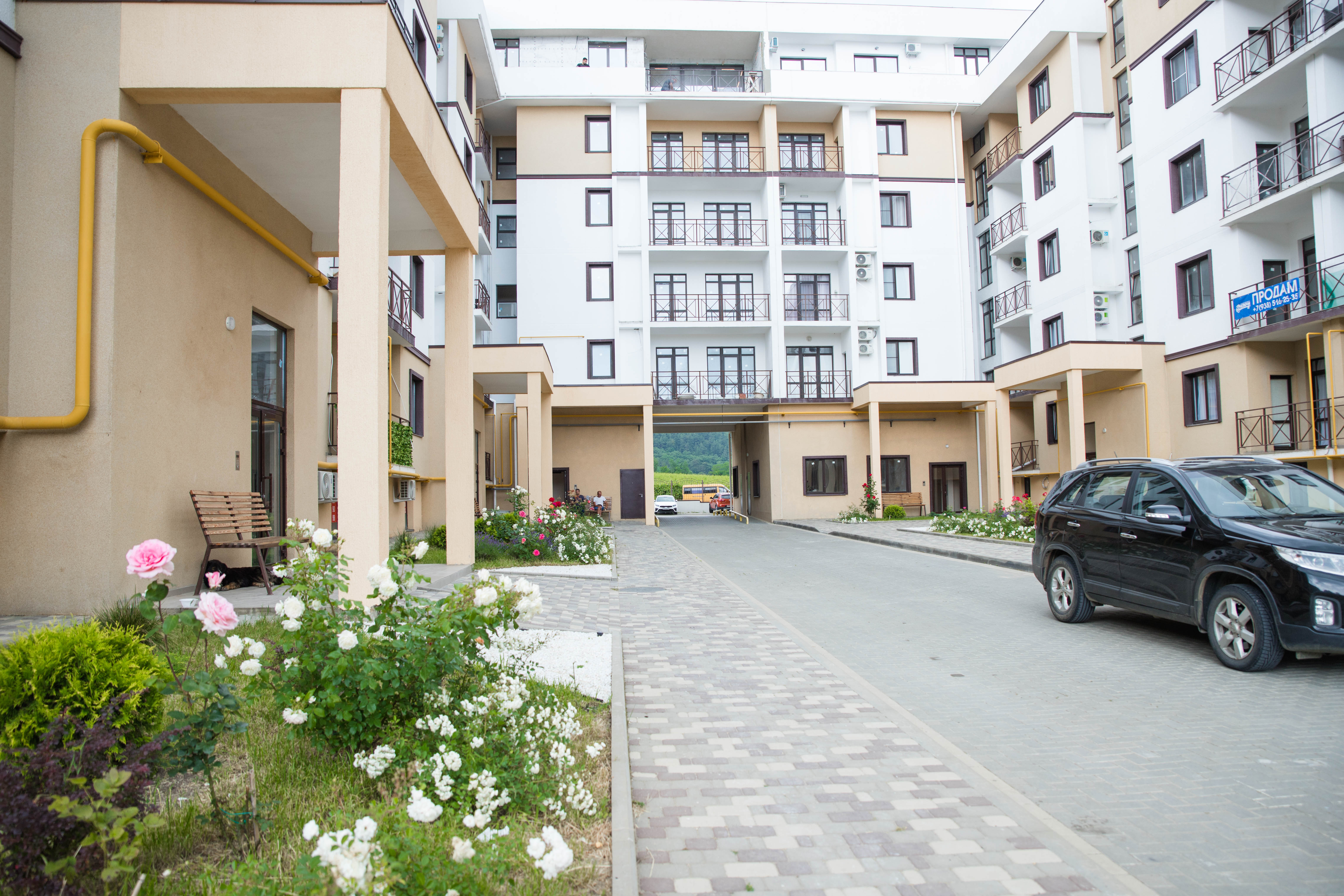 Фото Скала Парус 