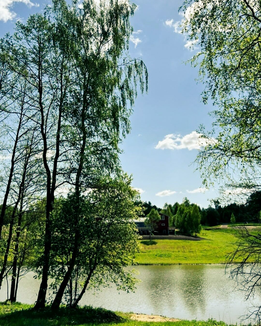 Фото Малина